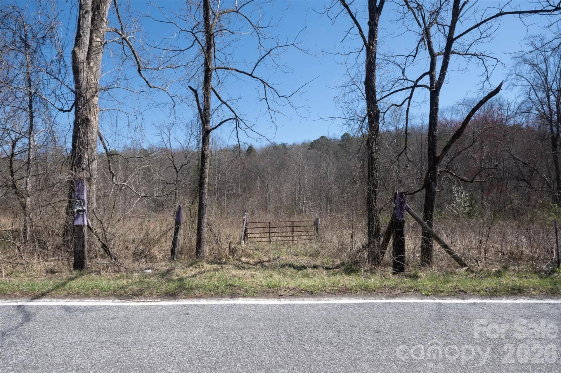 1739 Polly Spout Road - Photo 11
