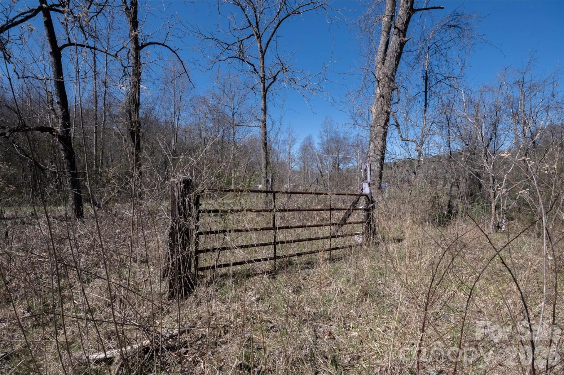 1739 Polly Spout Road - Photo 13