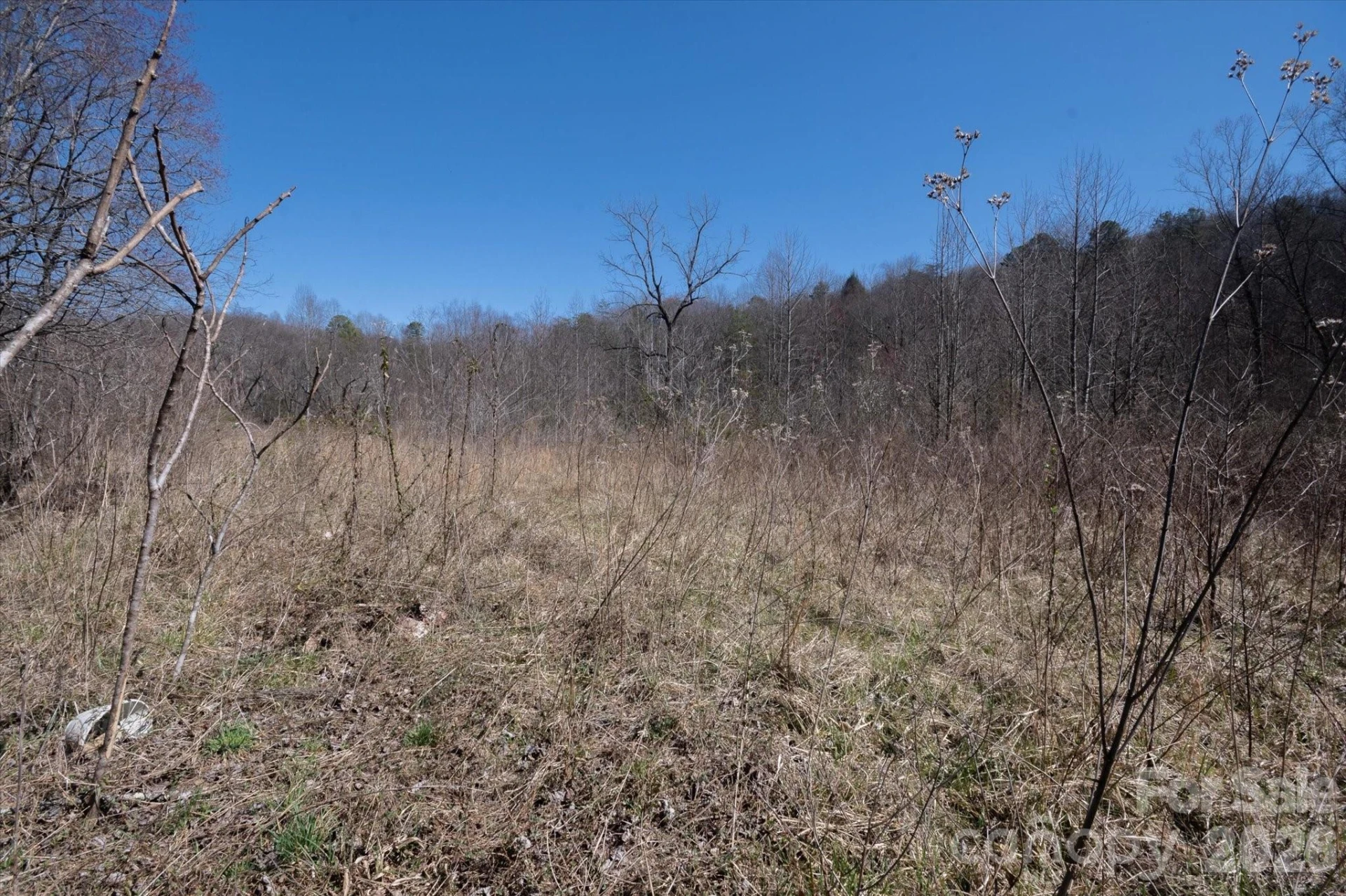1739 Polly Spout Road - Photo 14