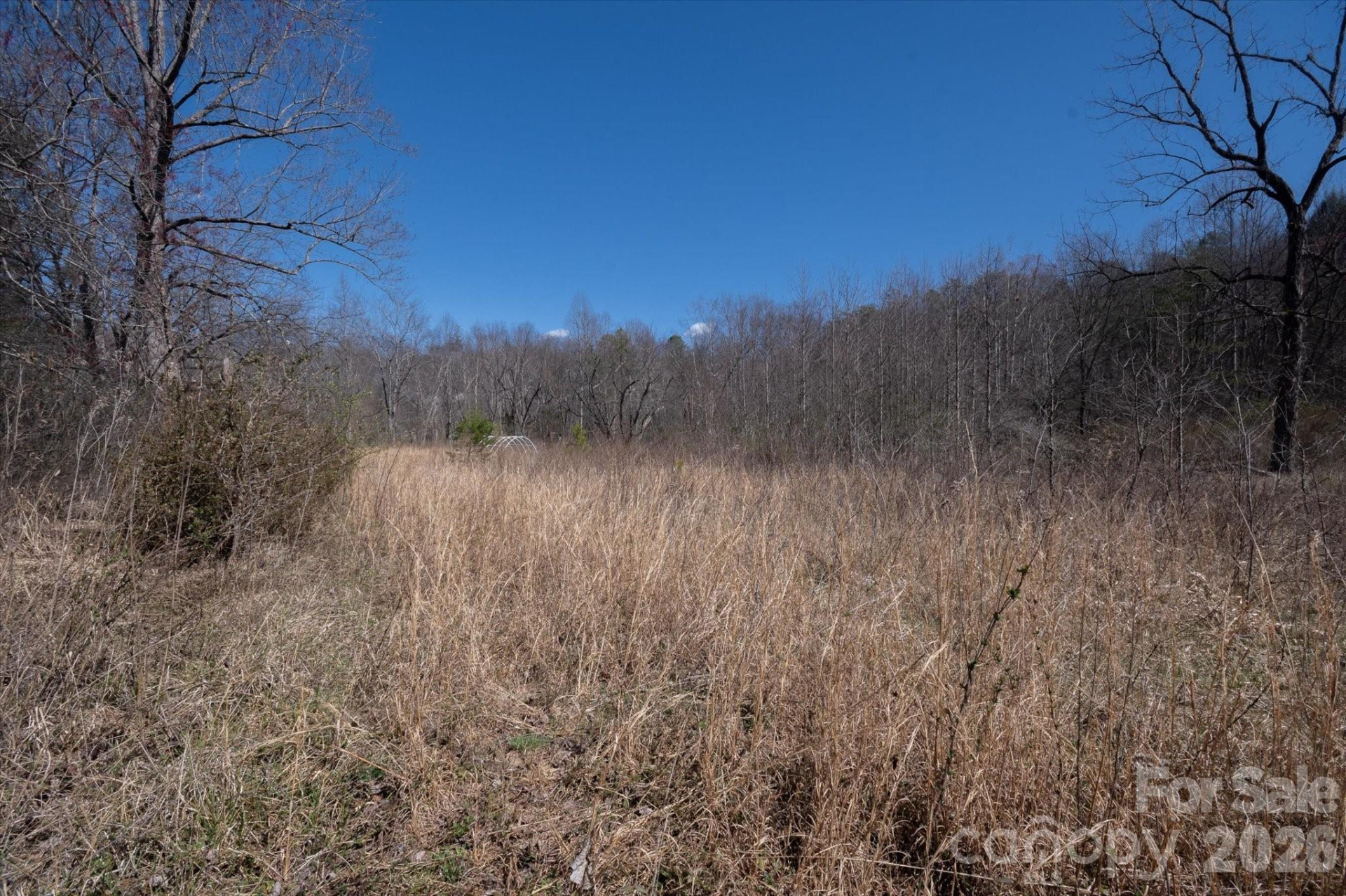 1739 Polly Spout Road - Photo 16