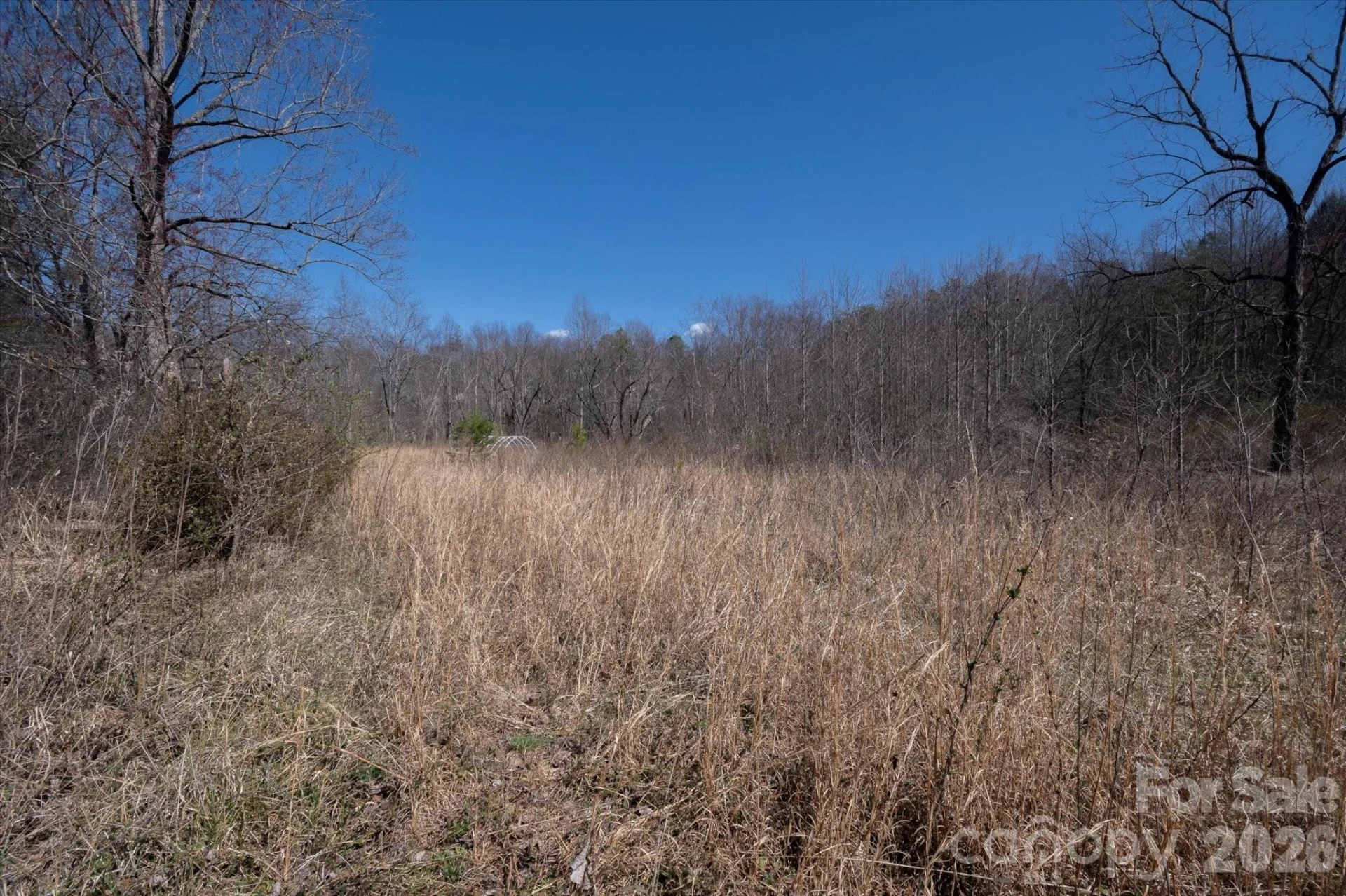 1739 Polly Spout Road - Photo 16
