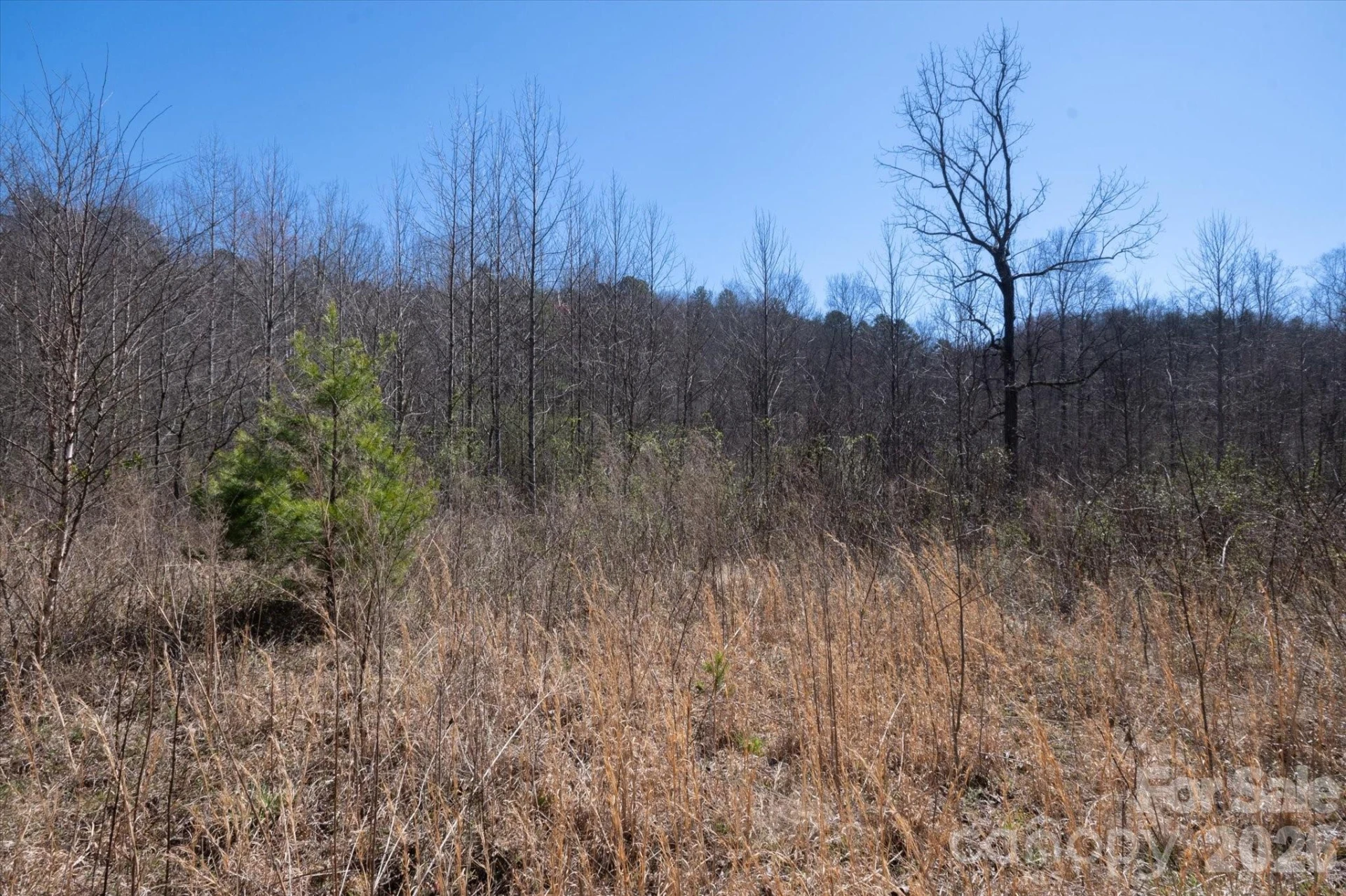 1739 Polly Spout Road - Photo 17
