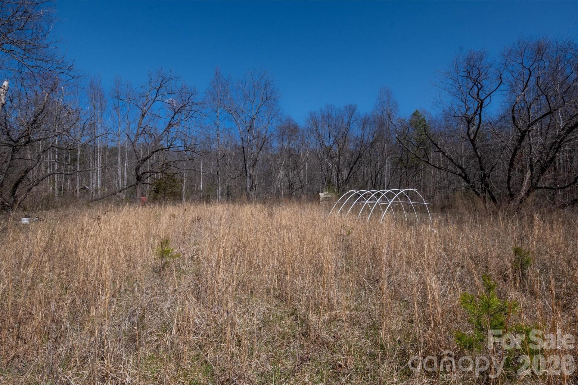 1739 Polly Spout Road - Photo 18