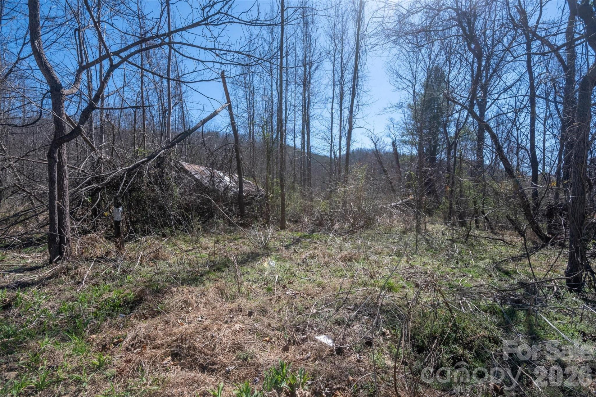 1739 Polly Spout Road - Photo 9