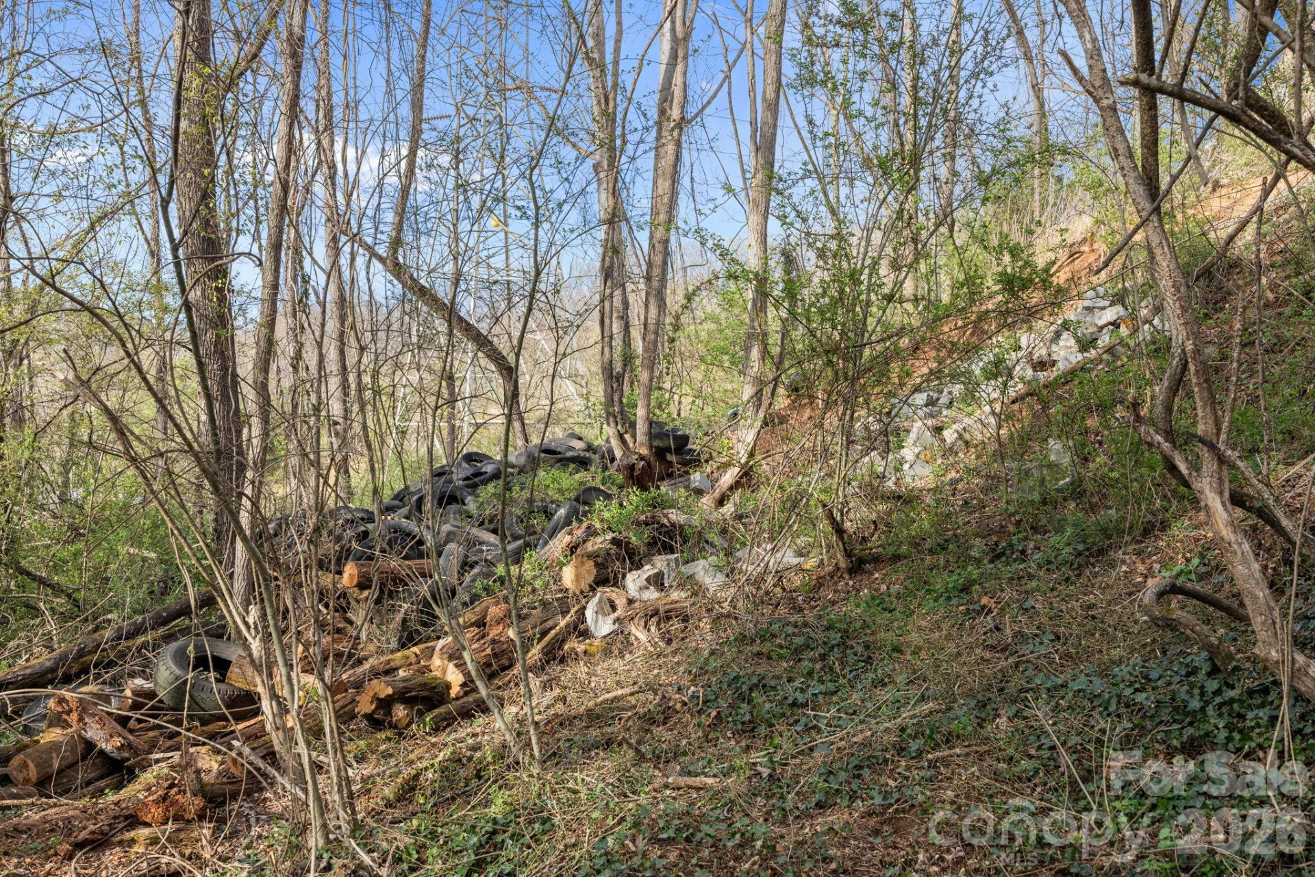 161 Pandora Circle - Photo 28