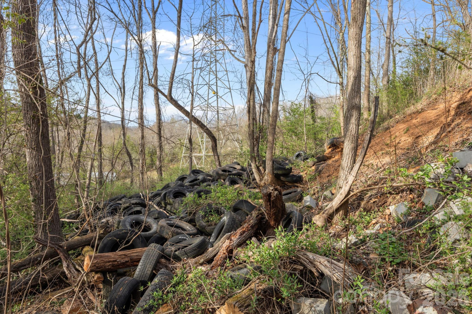 161 Pandora Circle - Photo 29