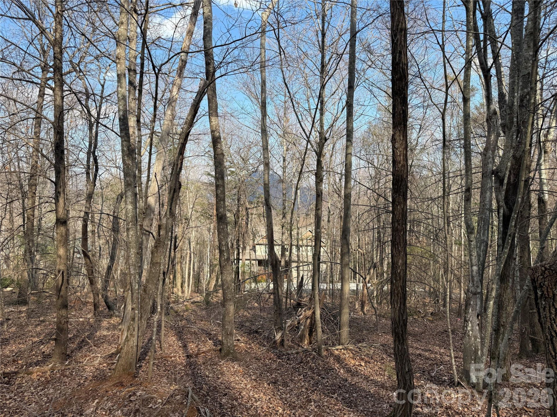 0 Hummingbird Road #275 - Photo 4