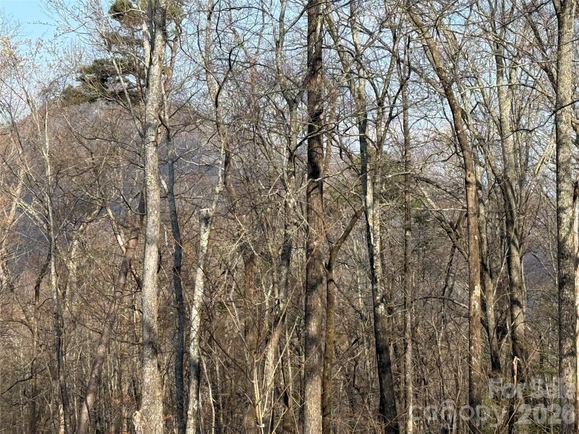 0 Hummingbird Road #275 - Photo 5