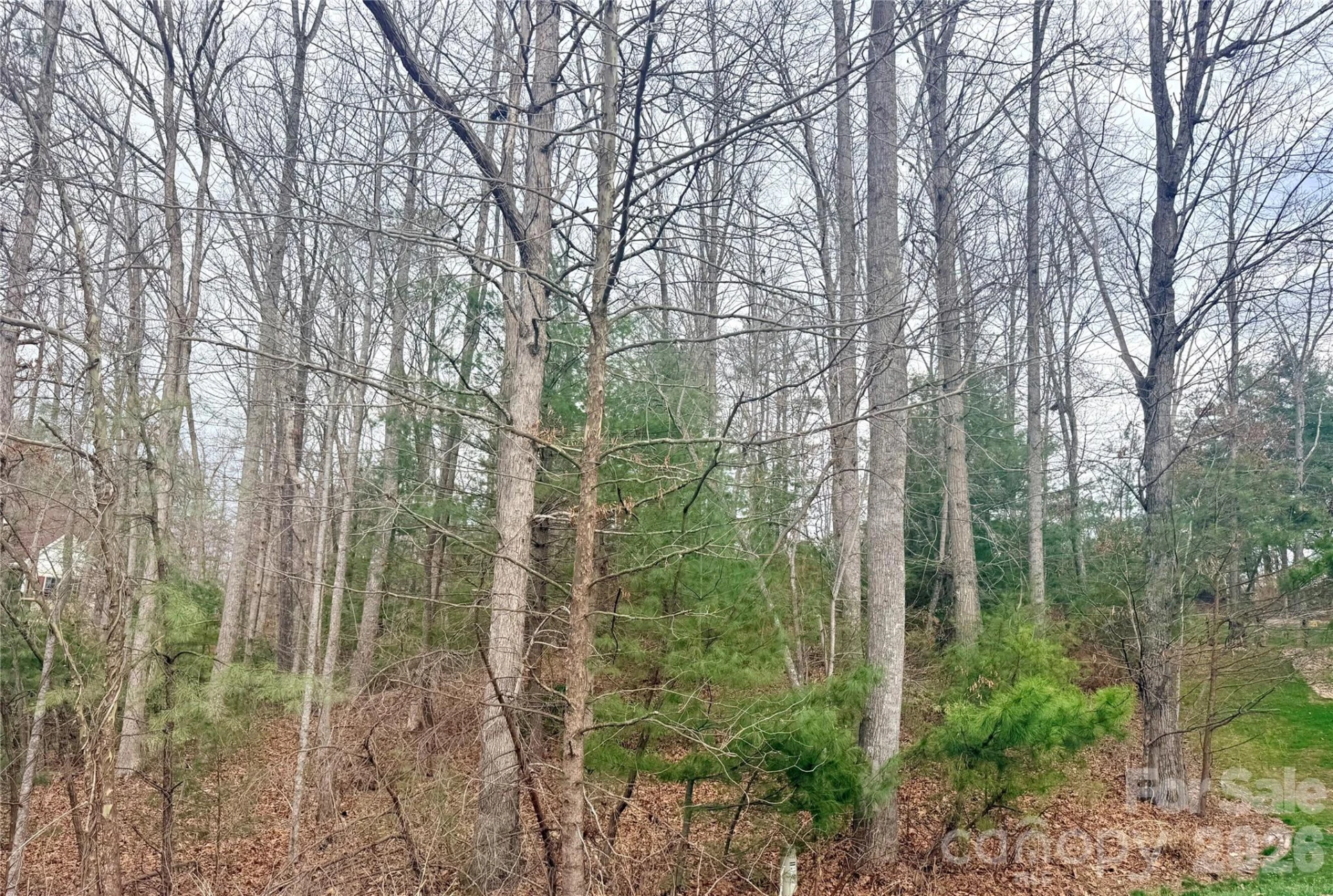 85 Baton Lane - Photo 2