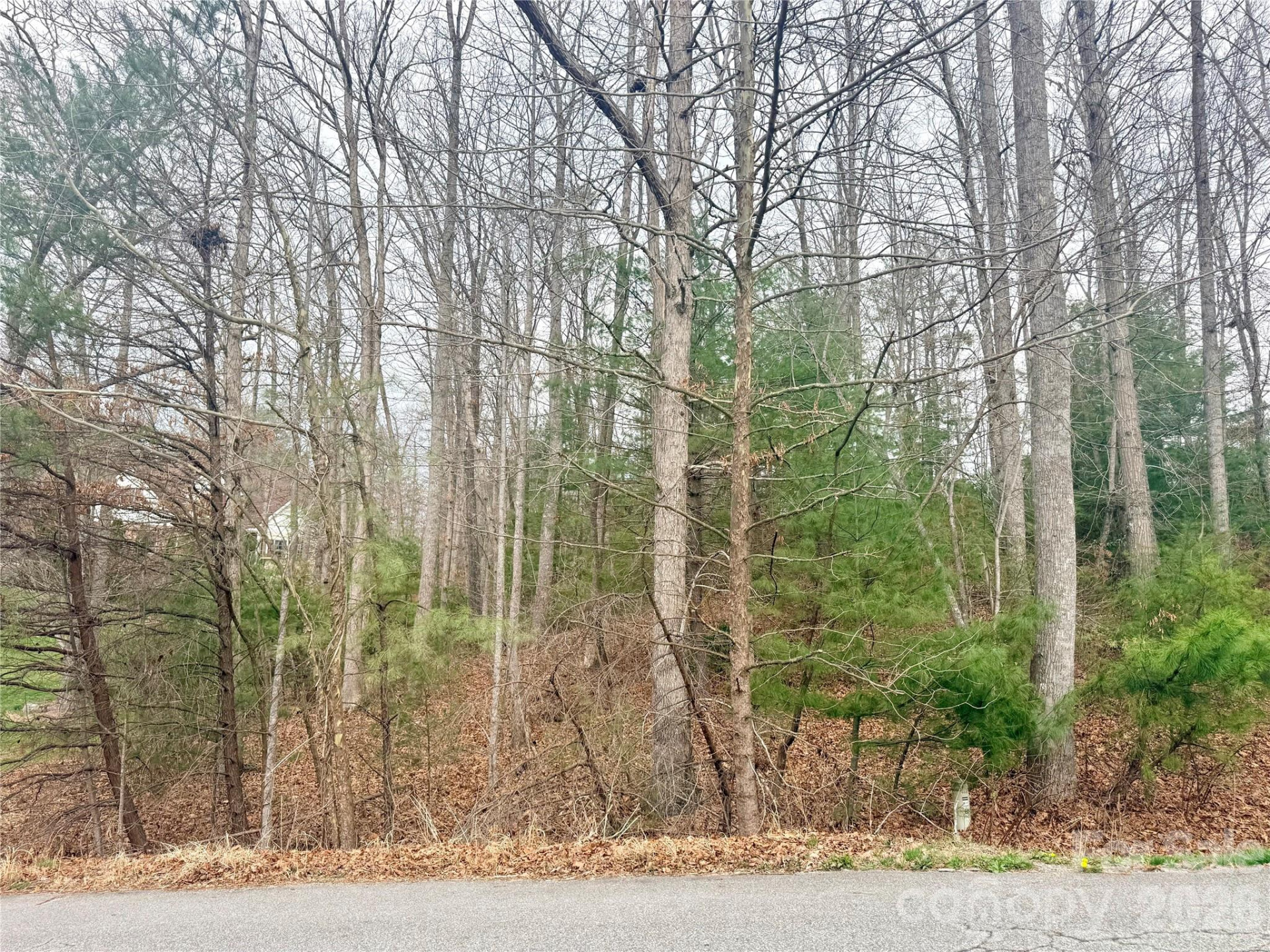 85 Baton Lane - Photo 3