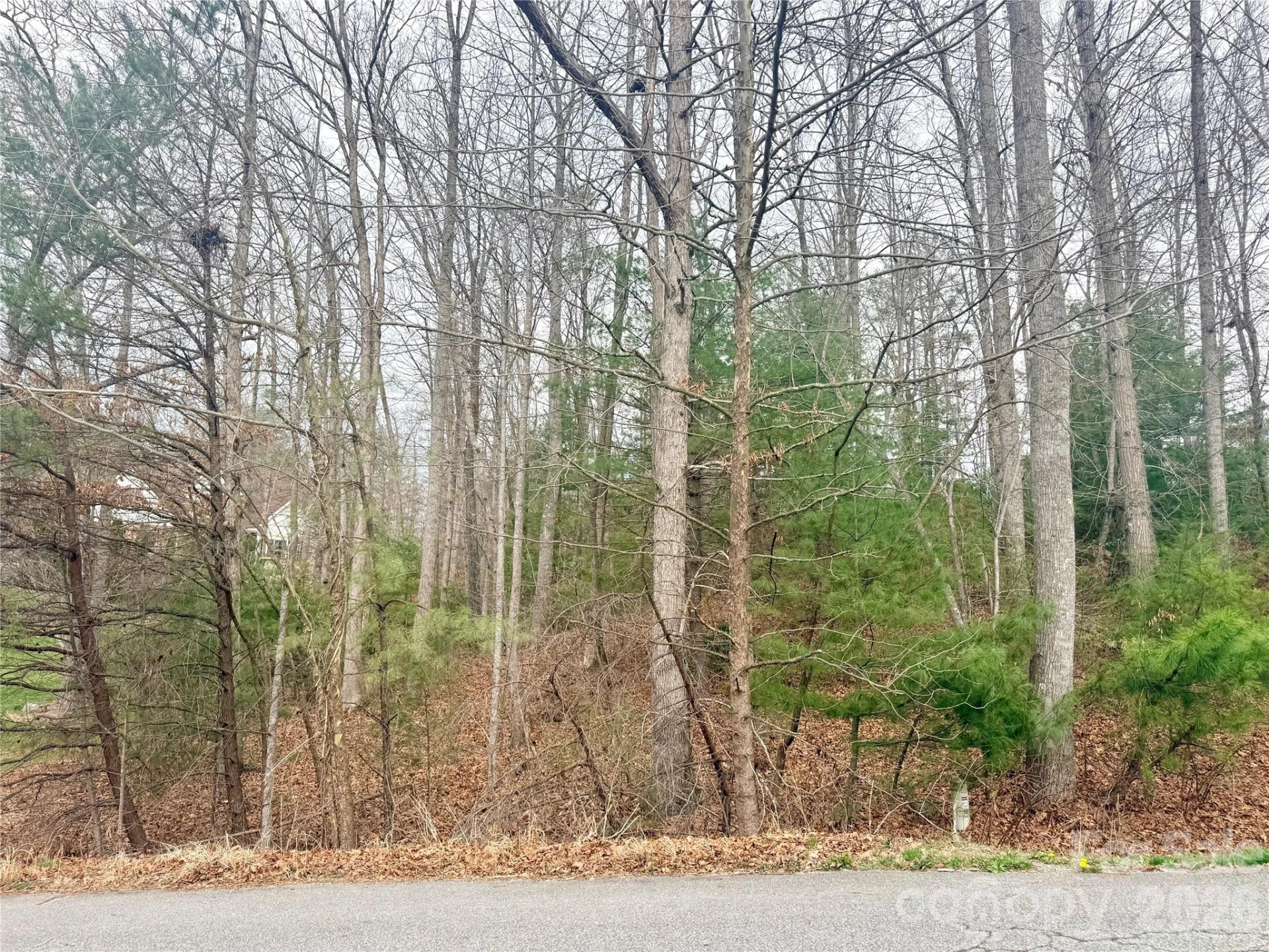 85 Baton Lane - Photo 3
