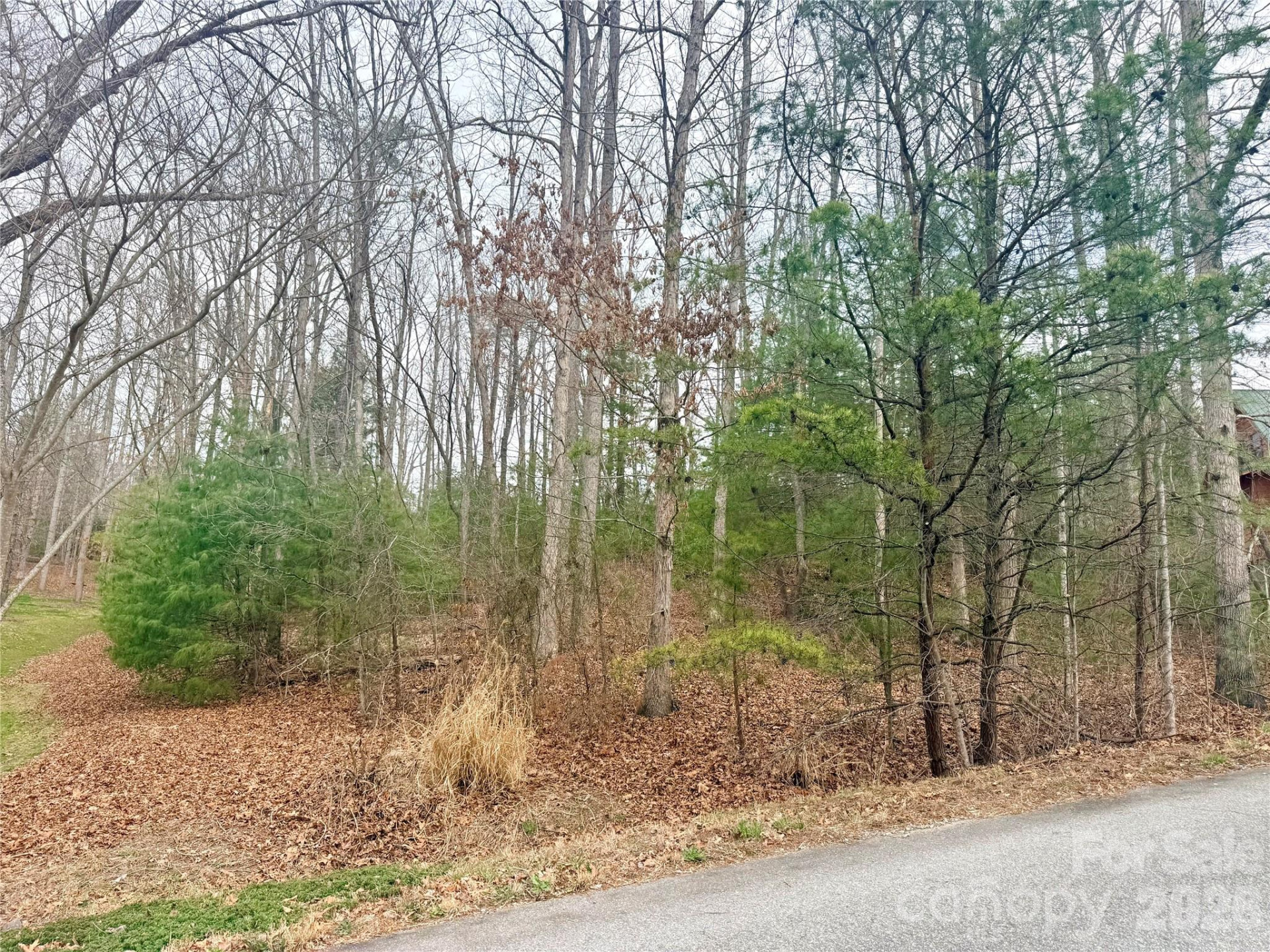 85 Baton Lane - Photo 4