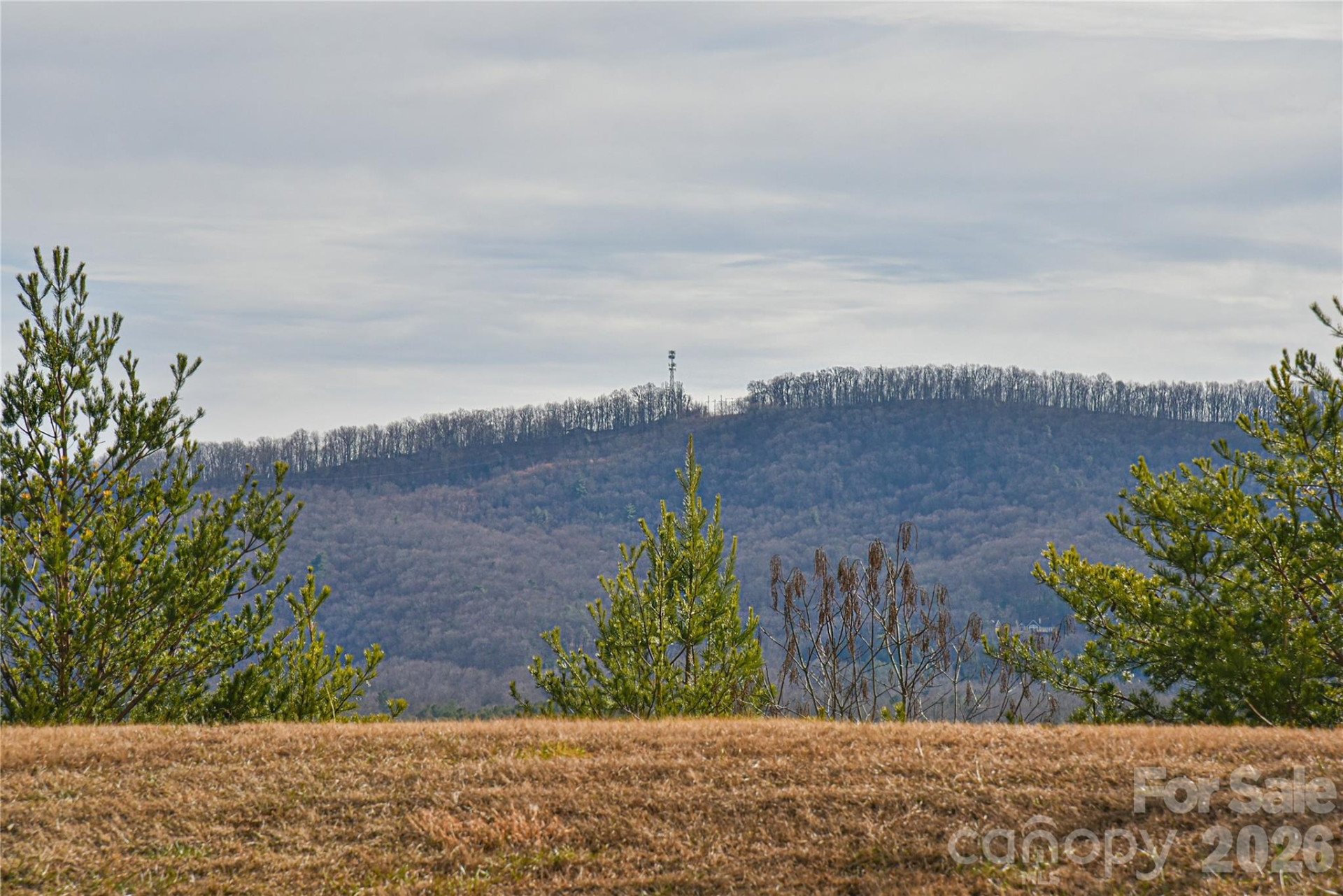 4 Heather Way #B - Photo 15