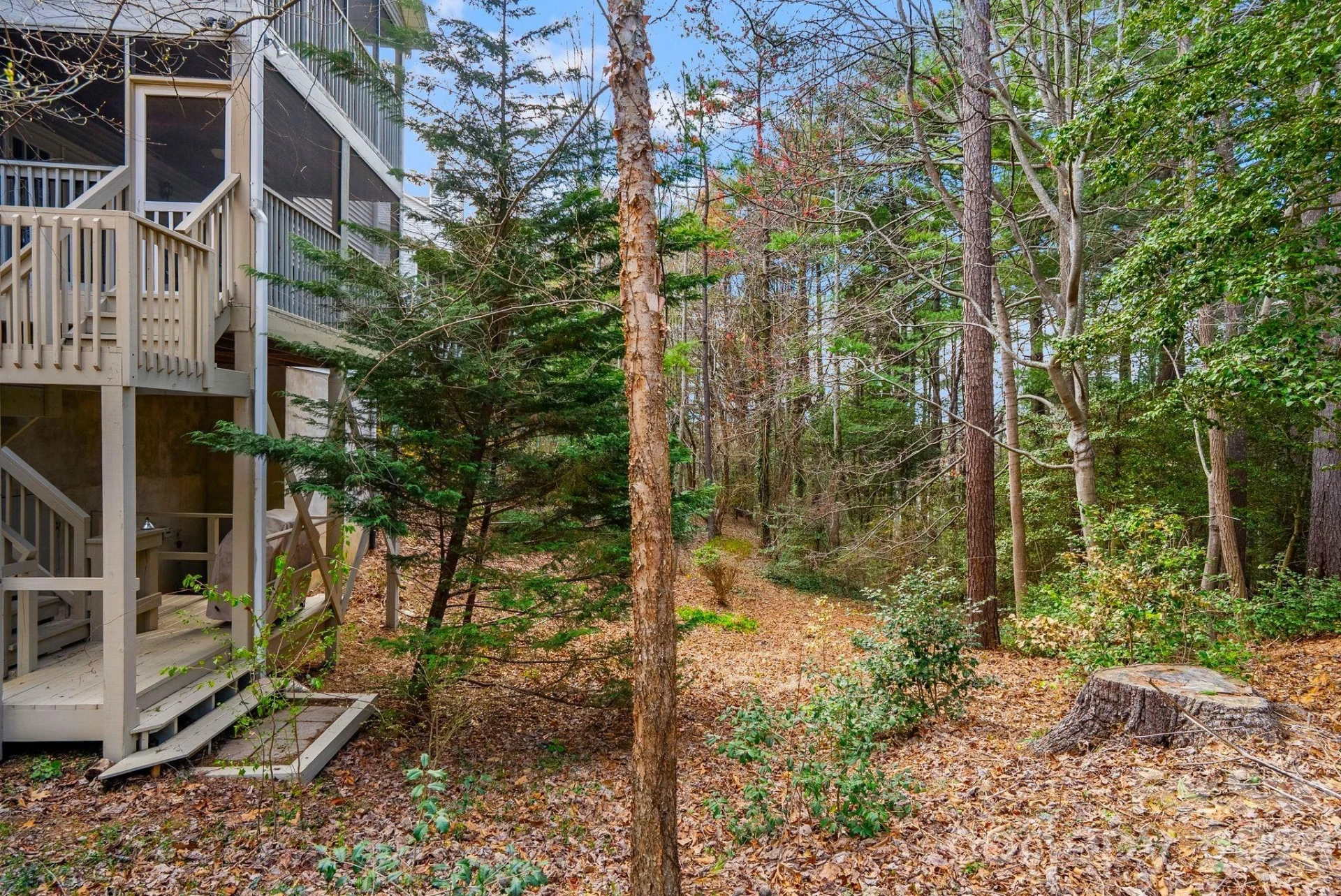 100 Thistle Knoll Court - Photo 16