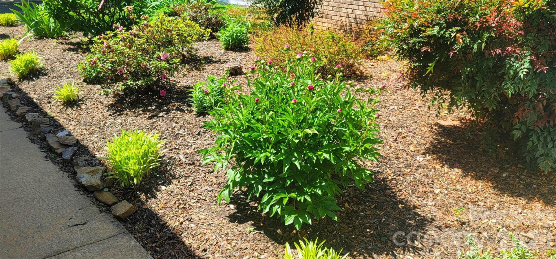 100 Thistle Knoll Court - Photo 6