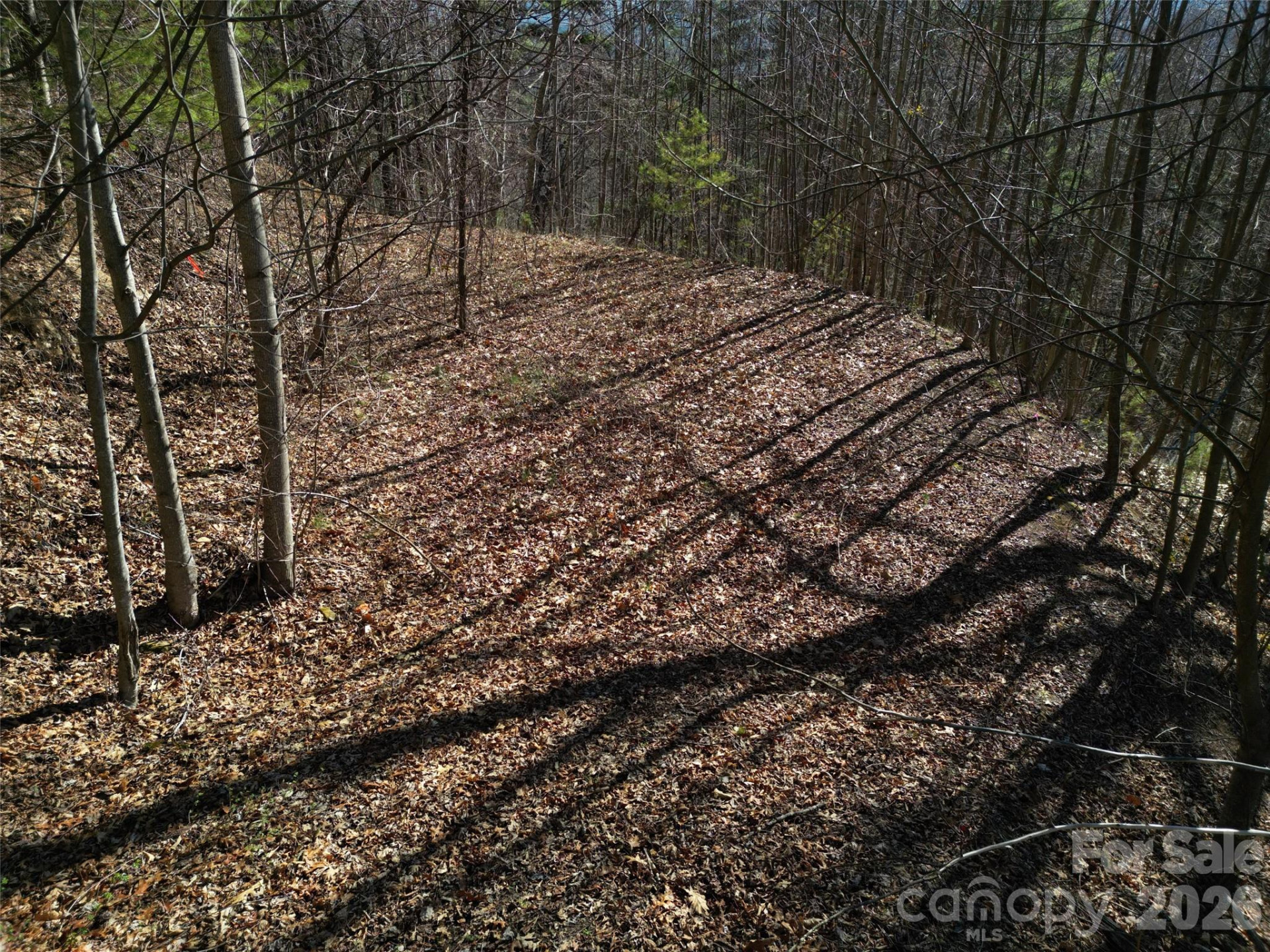 1165 Scenic Circle - Photo 20