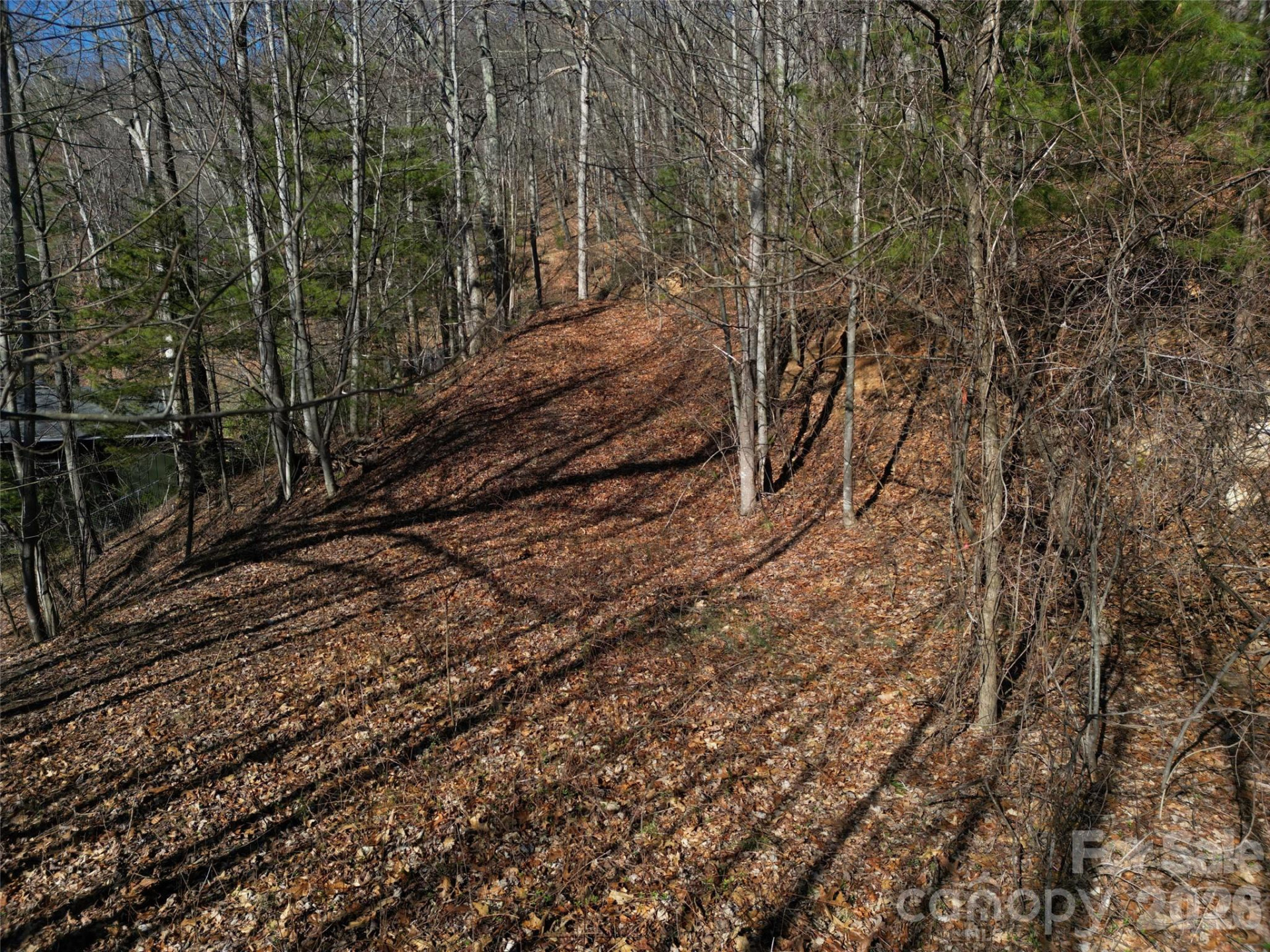 1165 Scenic Circle - Photo 7