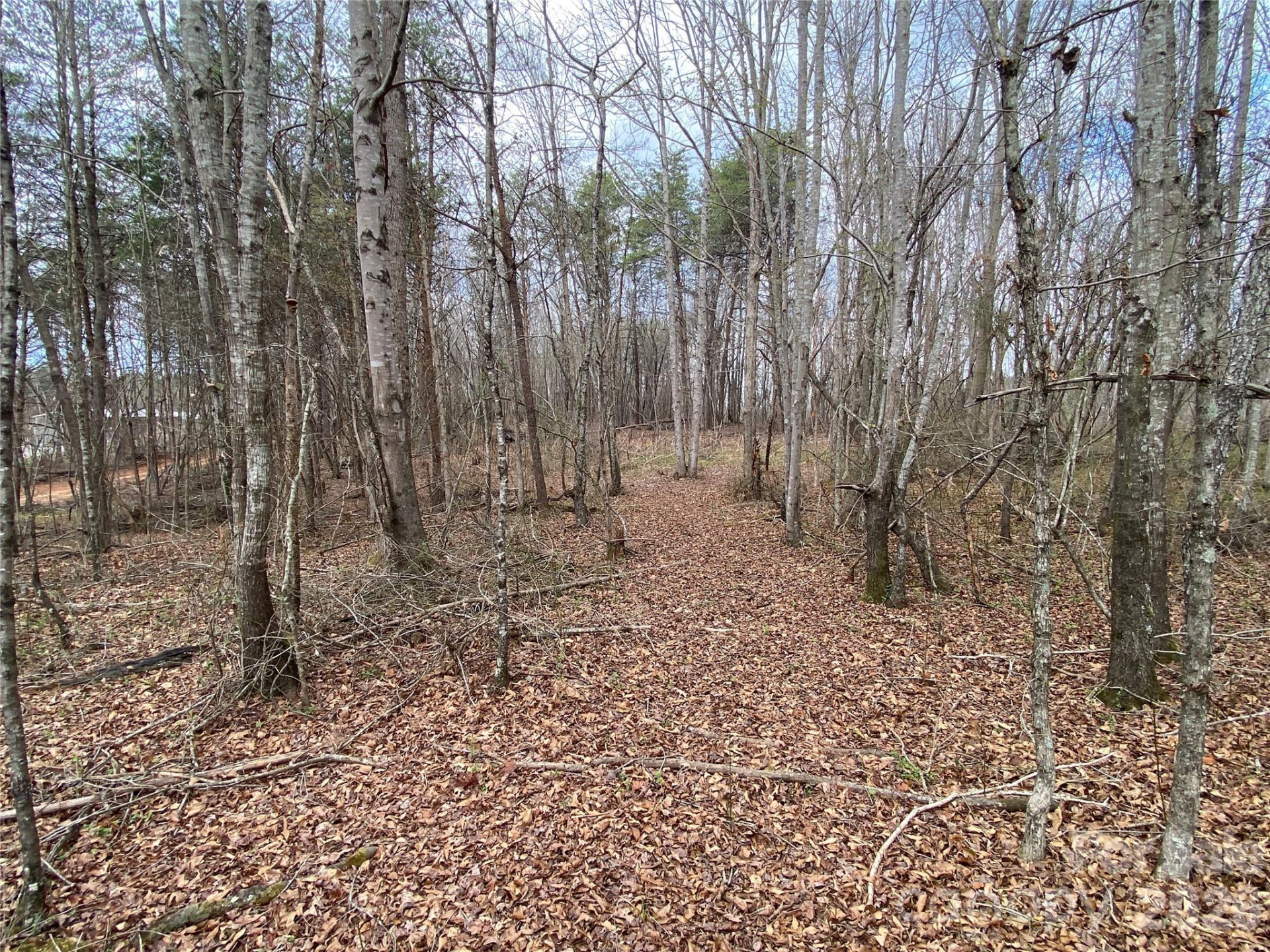 00 Painter Road - Photo 4