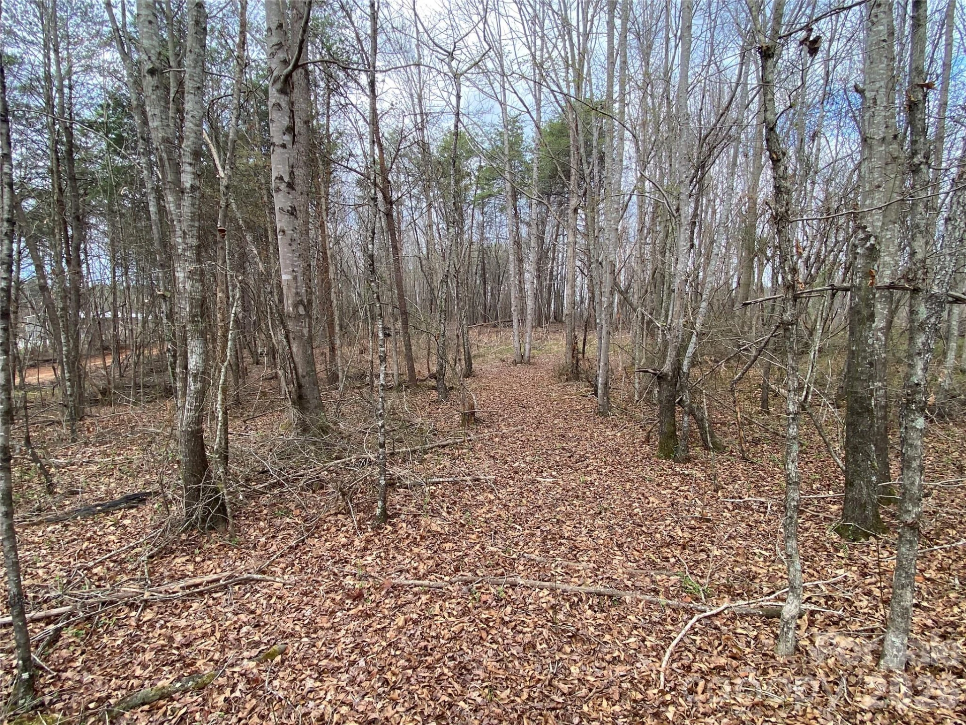 00 Painter Road - Photo 4