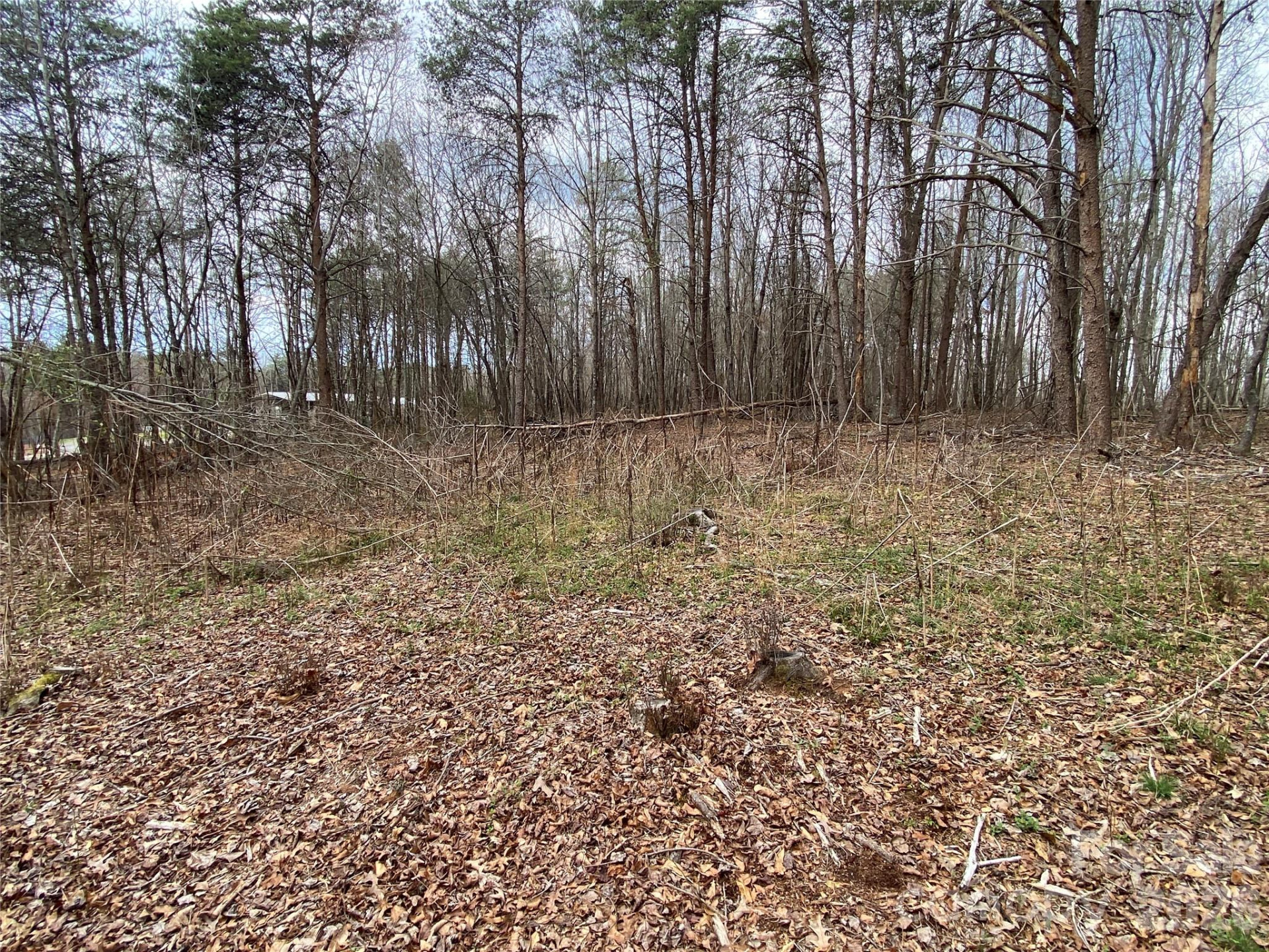 00 Painter Road - Photo 5