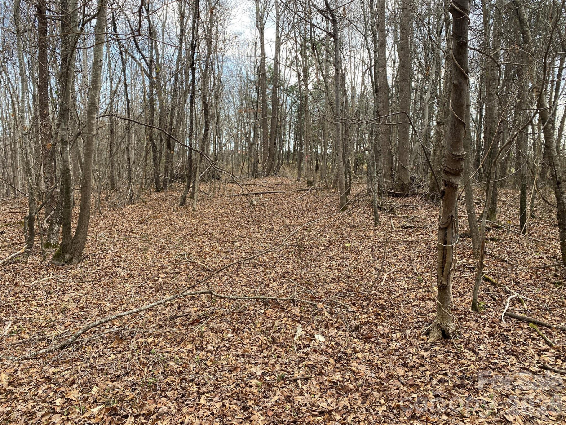 00 Painter Road - Photo 6