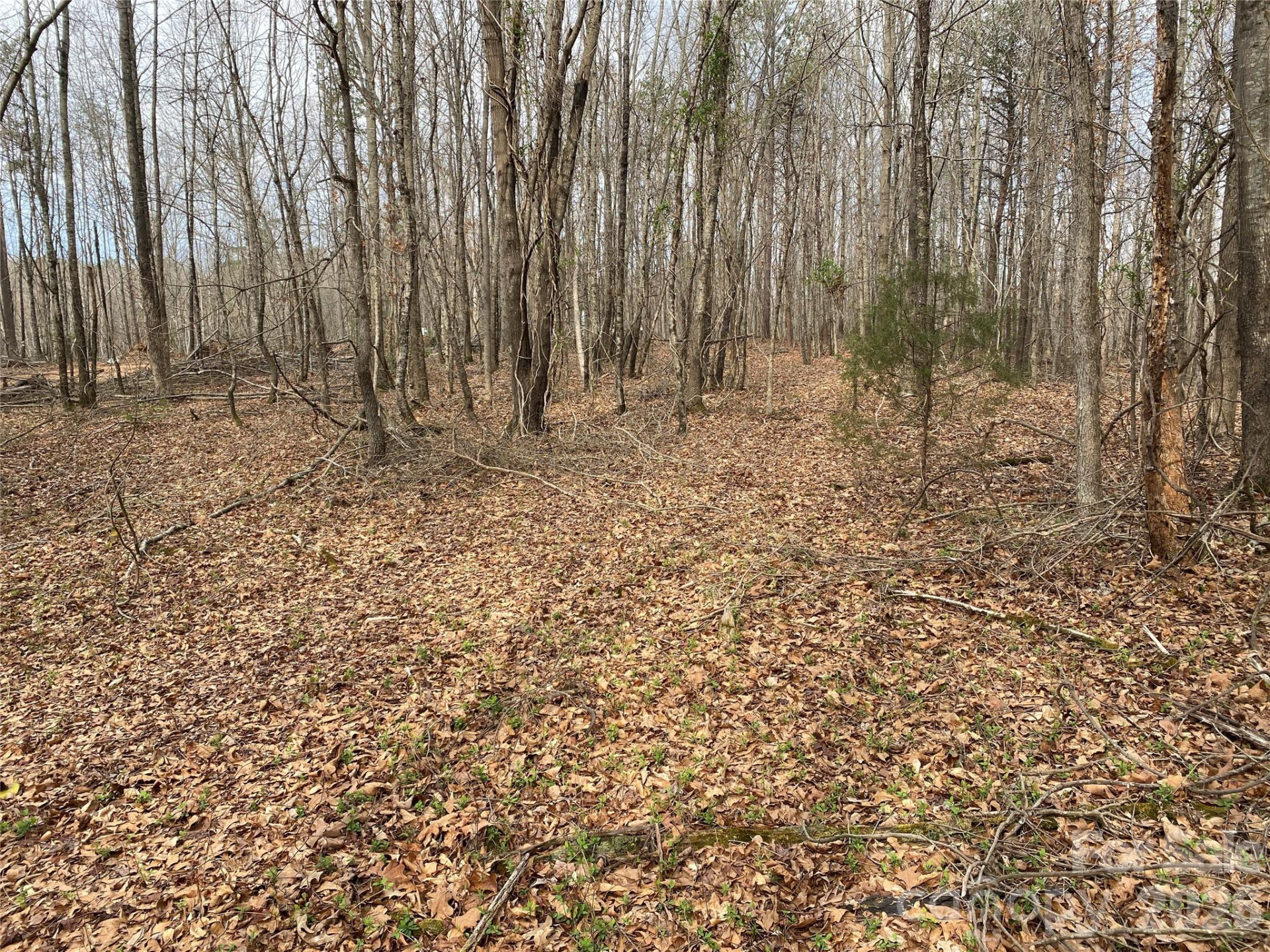 00 Painter Road - Photo 7