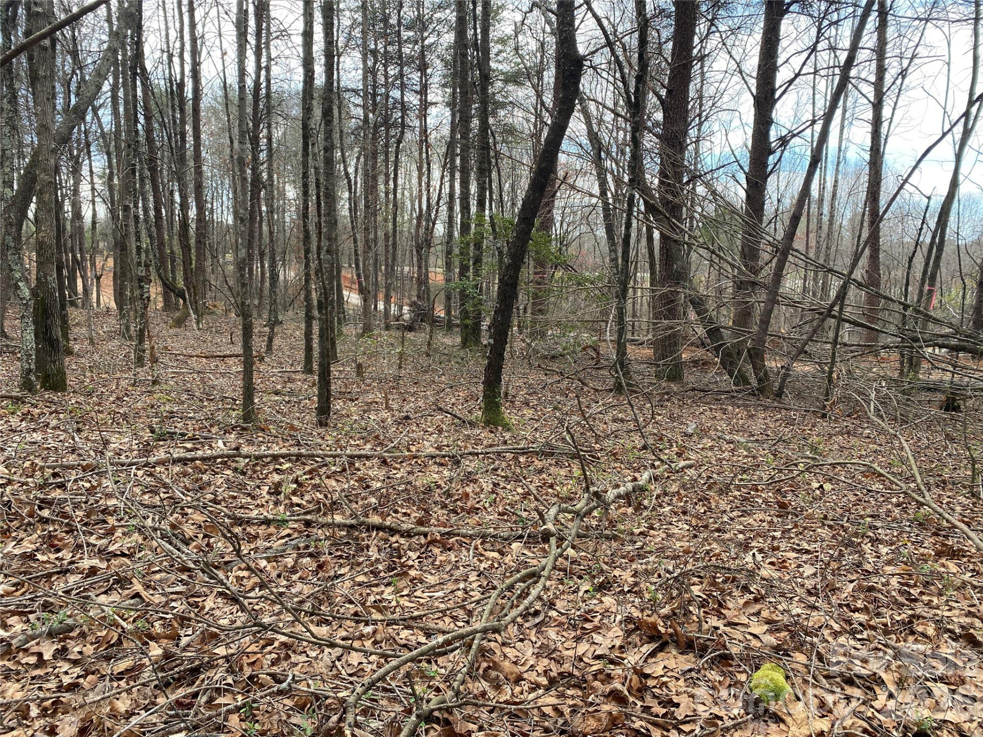 00 Painter Road - Photo 8