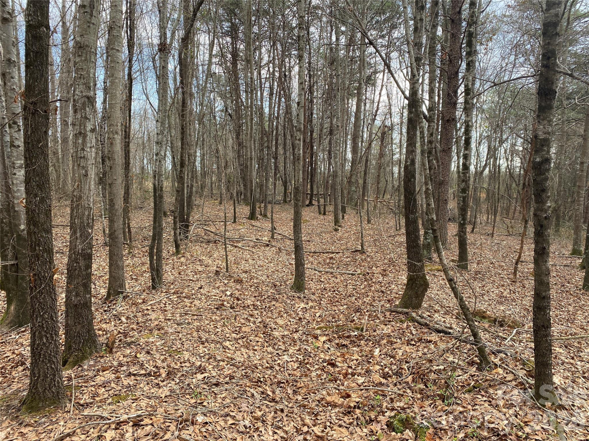 00 Painter Road - Photo 9