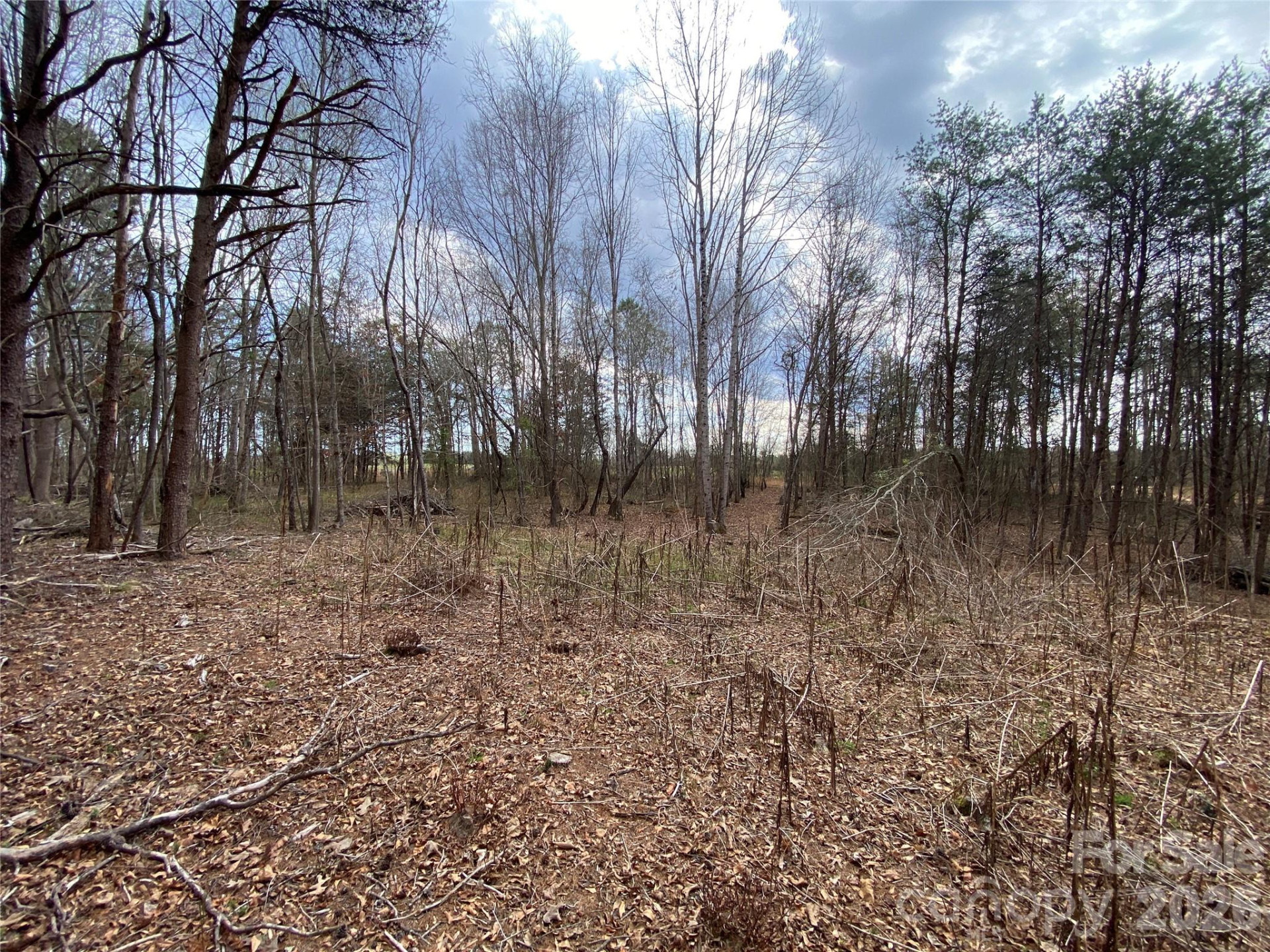 00 Painter Road - Photo 10