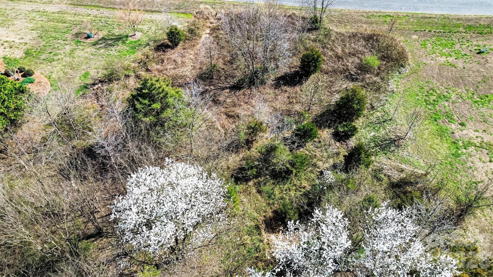 000 Edwards Farm Lane - Photo 11