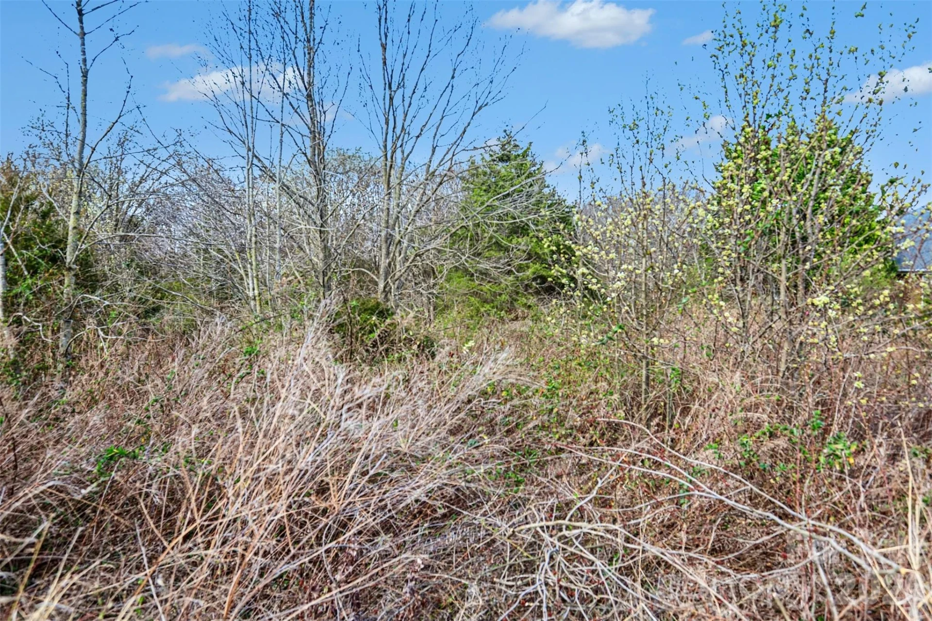 000 Edwards Farm Lane - Photo 4