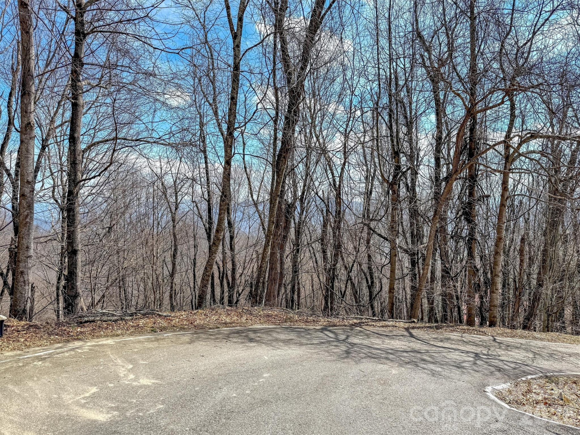 TBD Chipmunk Circle #27 - Photo 12