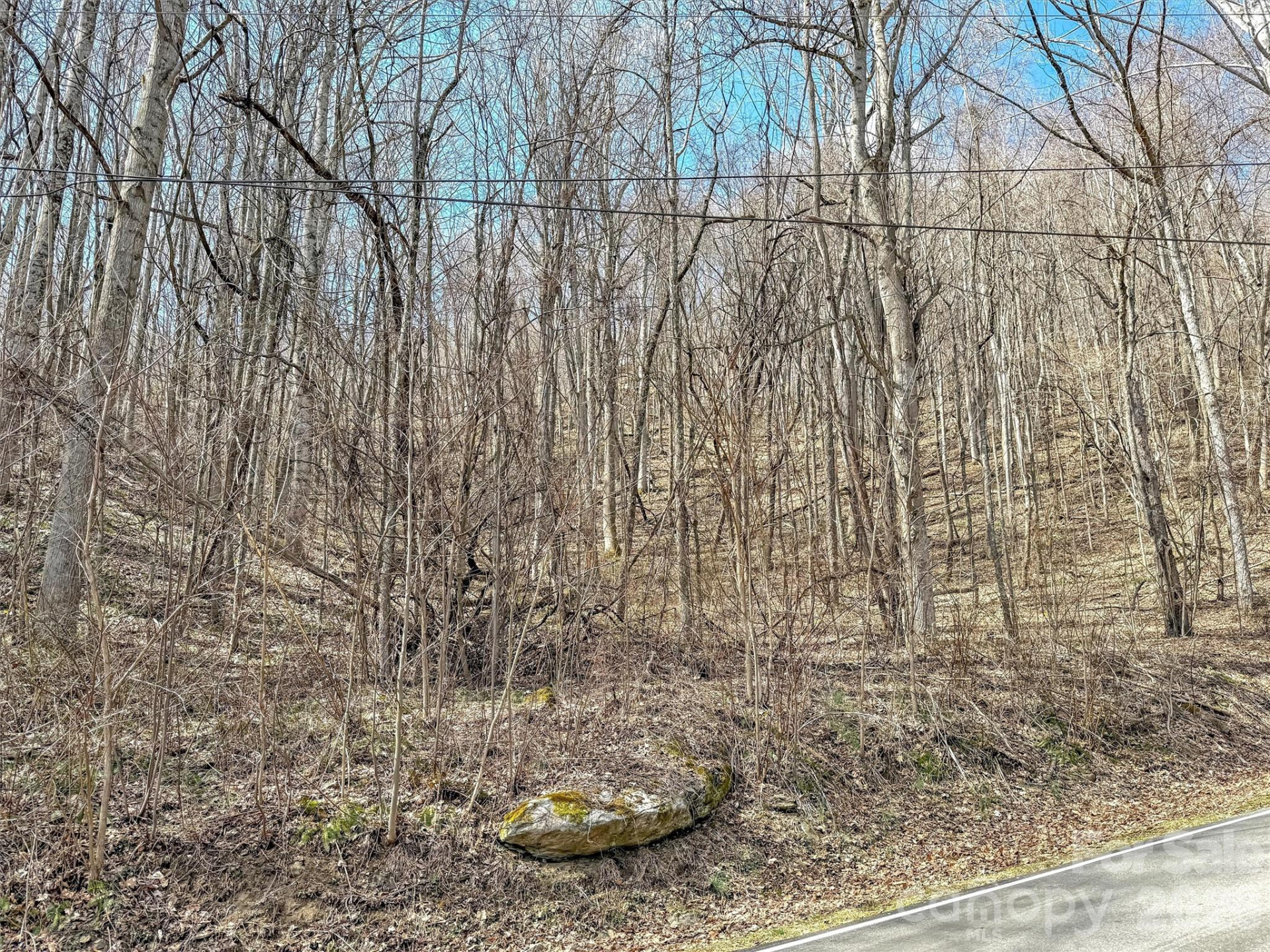 TBD Chipmunk Circle #27 - Photo 15