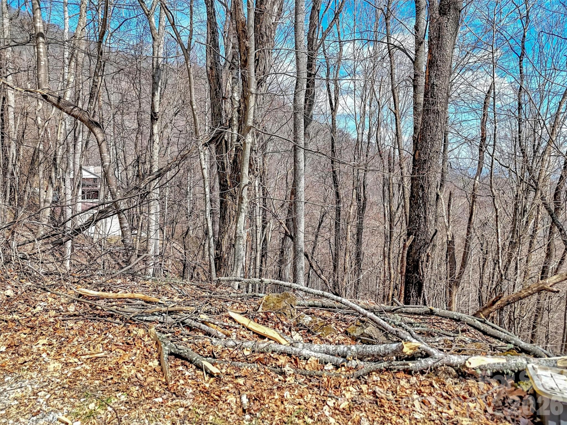 TBD Chipmunk Circle #27 - Photo 8