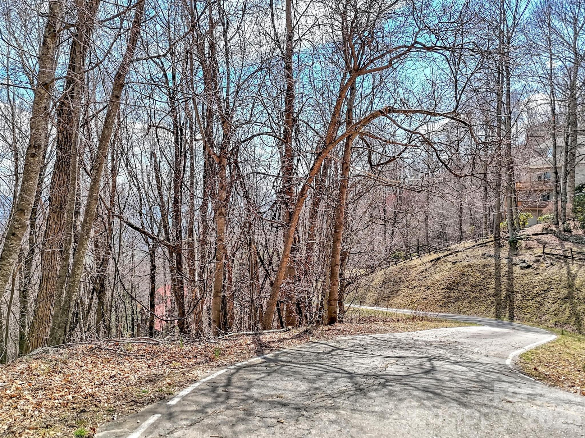 TBD Chipmunk Circle #27 - Photo 9