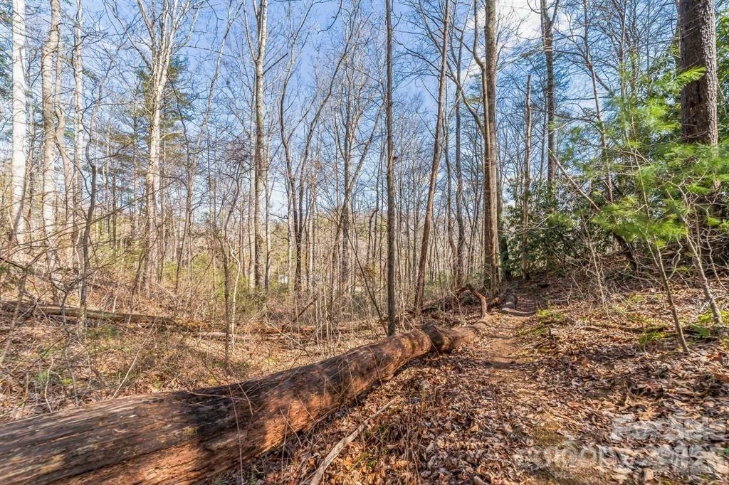 99999 Parker Road - Photo 7