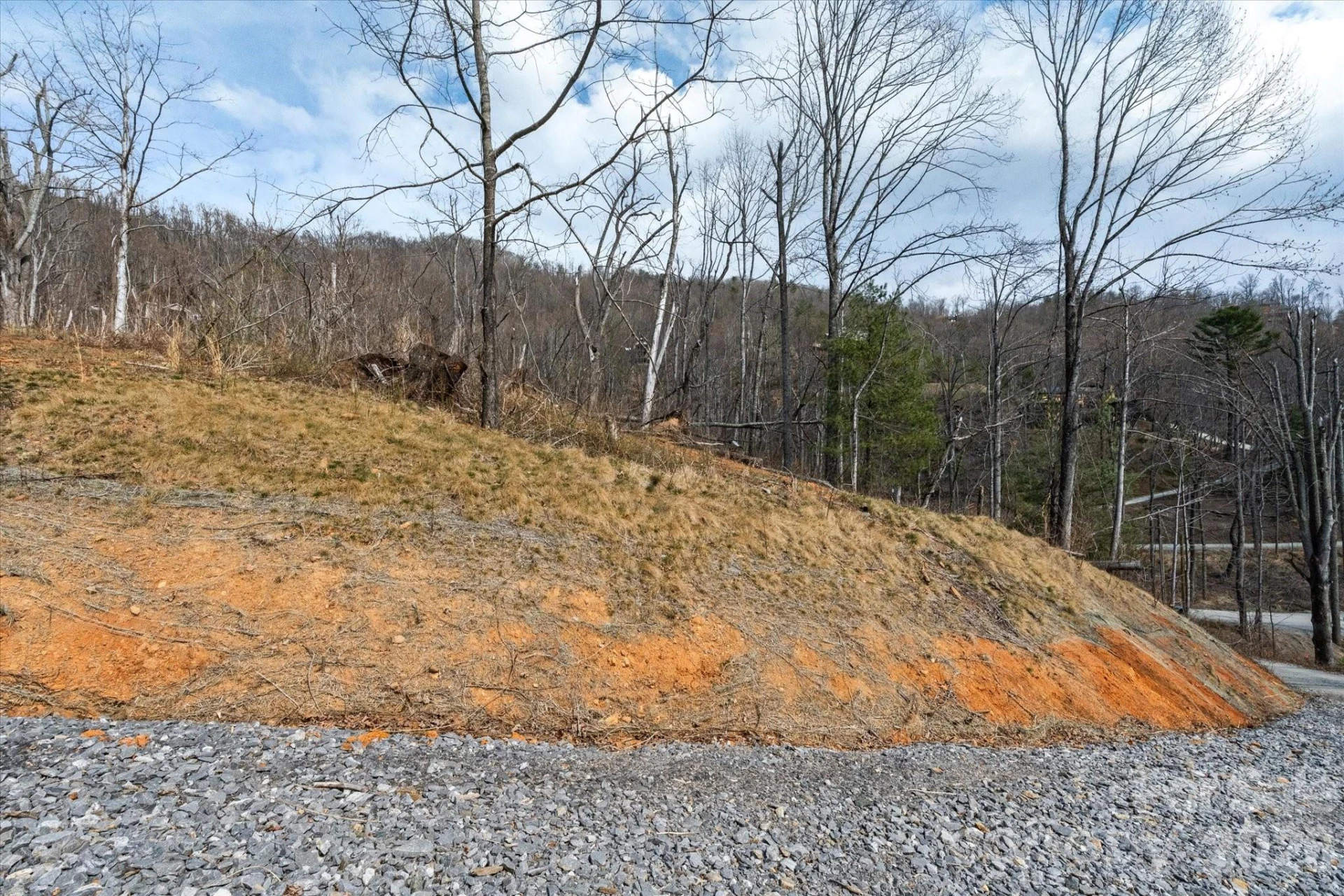 5 Whisper Creek Lane #7 - Photo 6