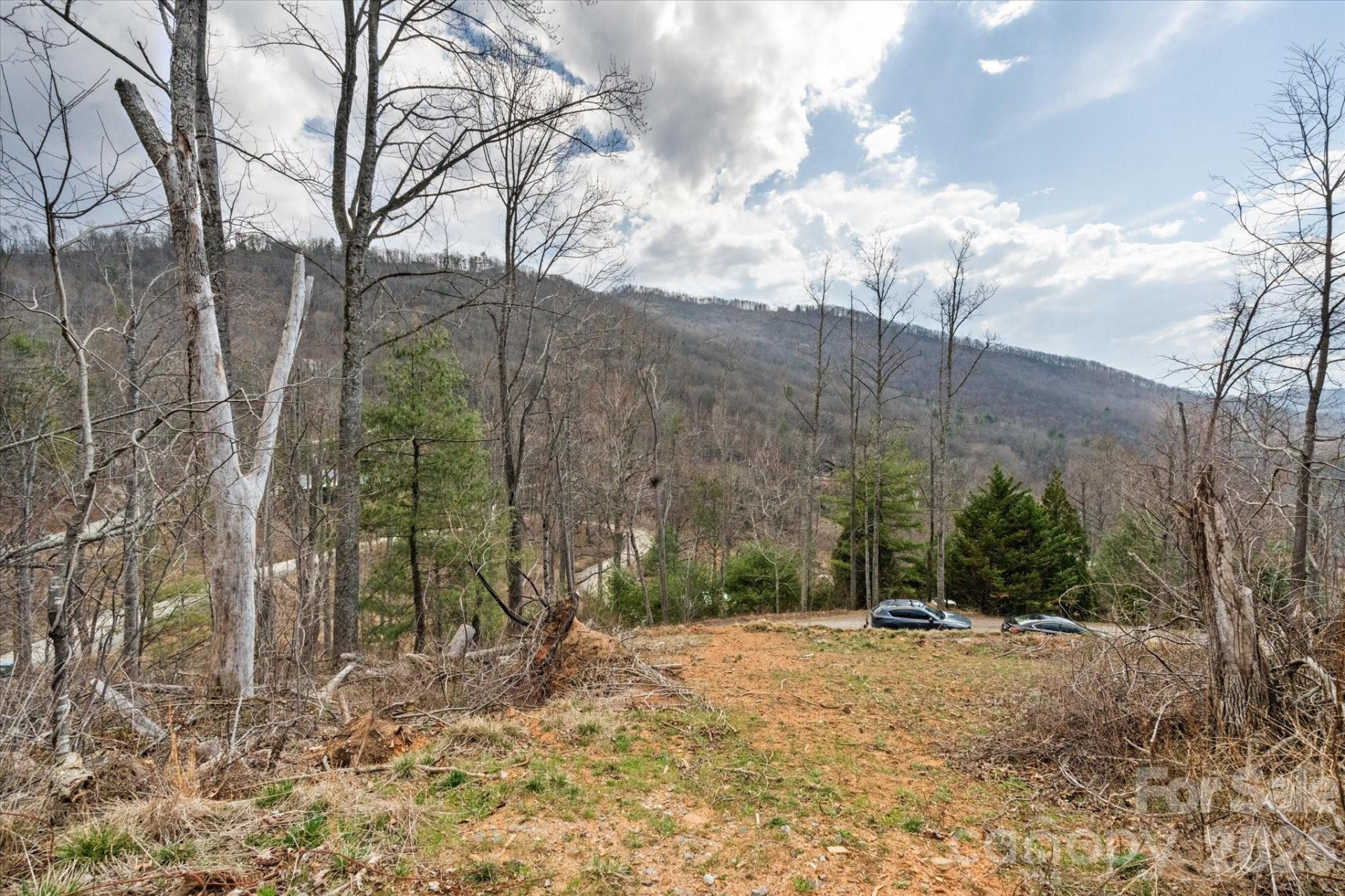 5 Whisper Creek Lane #7 - Photo 7