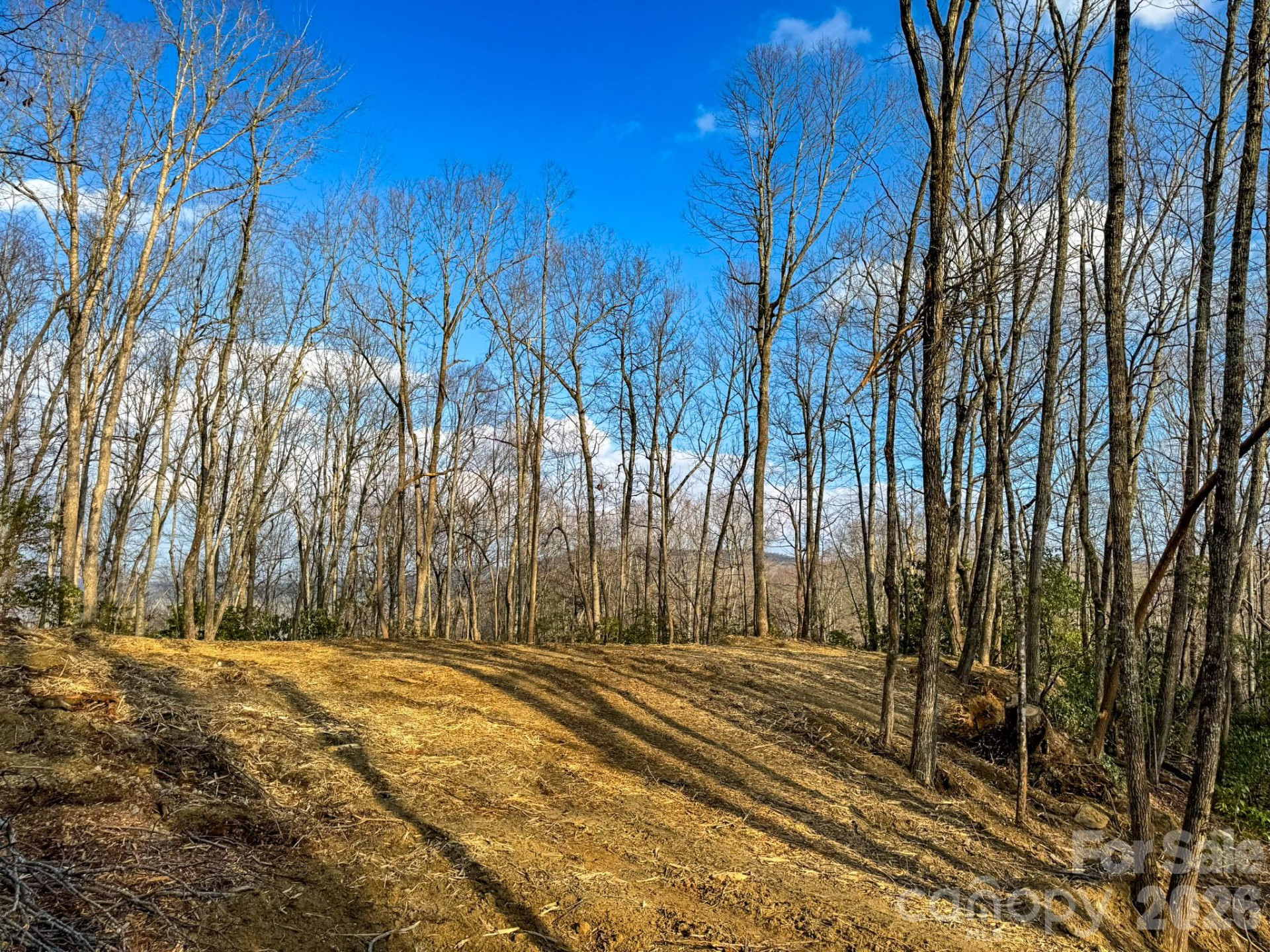 582 Faircrest Lane - Photo 29