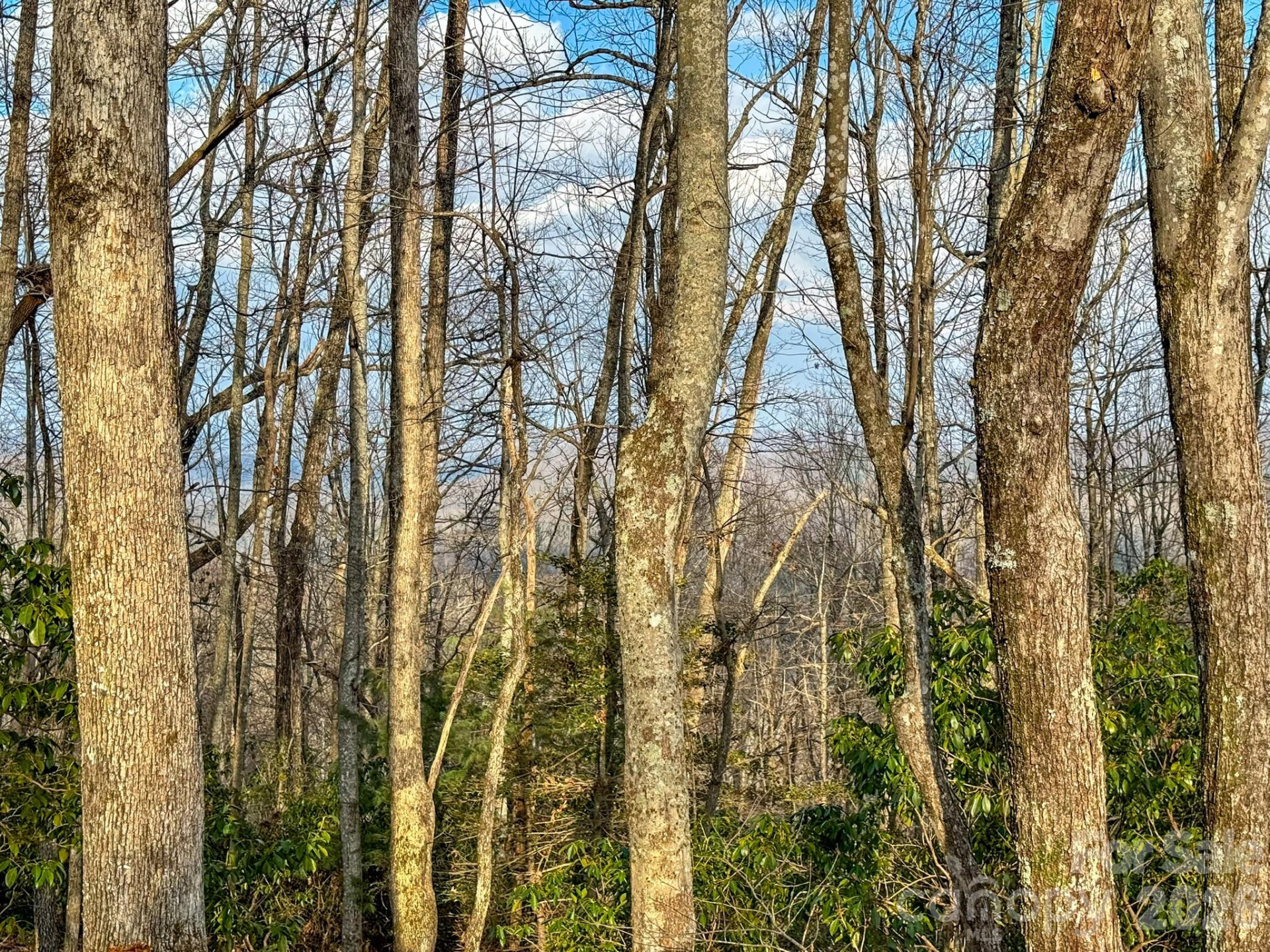 582 Faircrest Lane - Photo 31