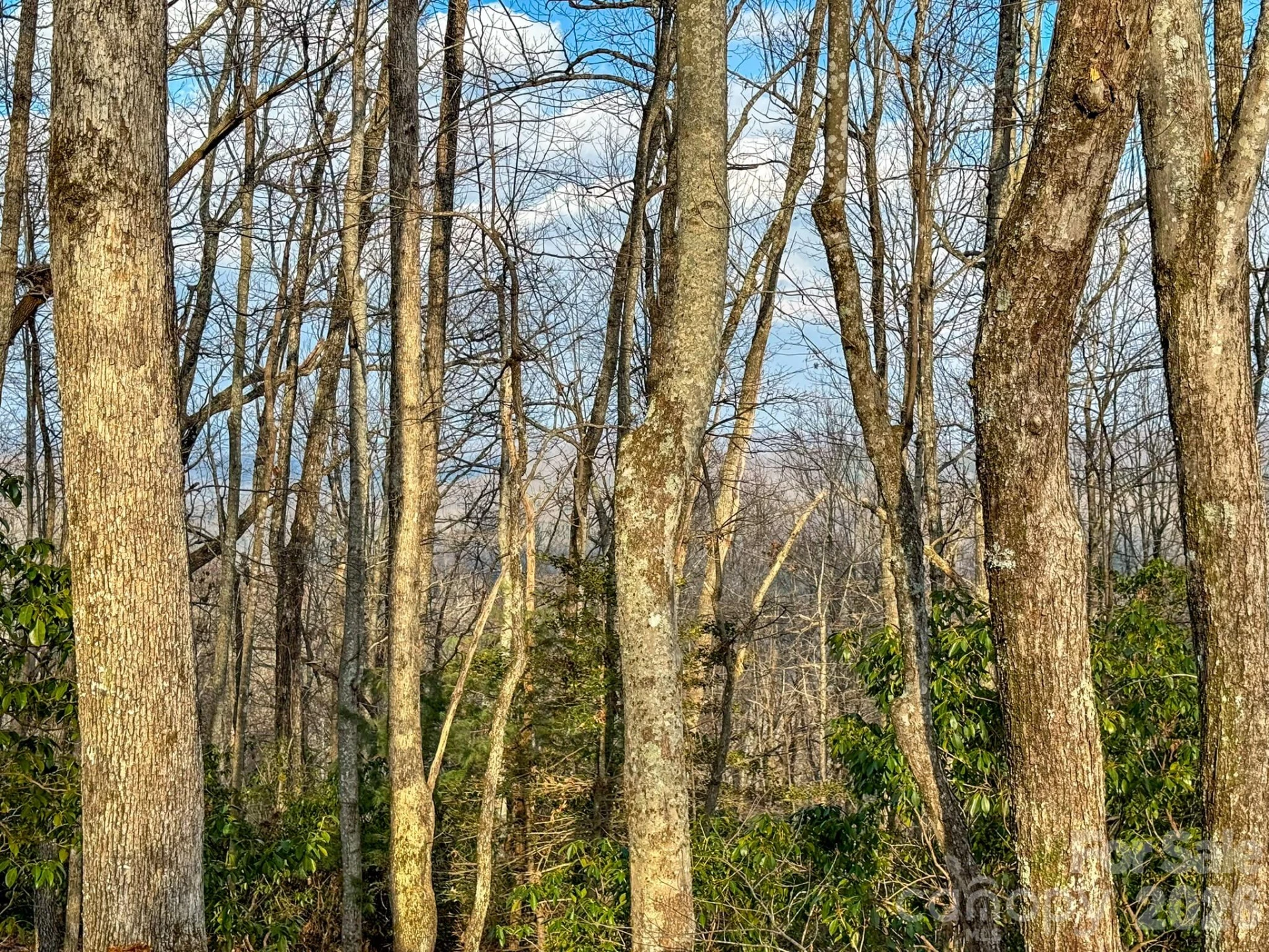 582 Faircrest Lane - Photo 31