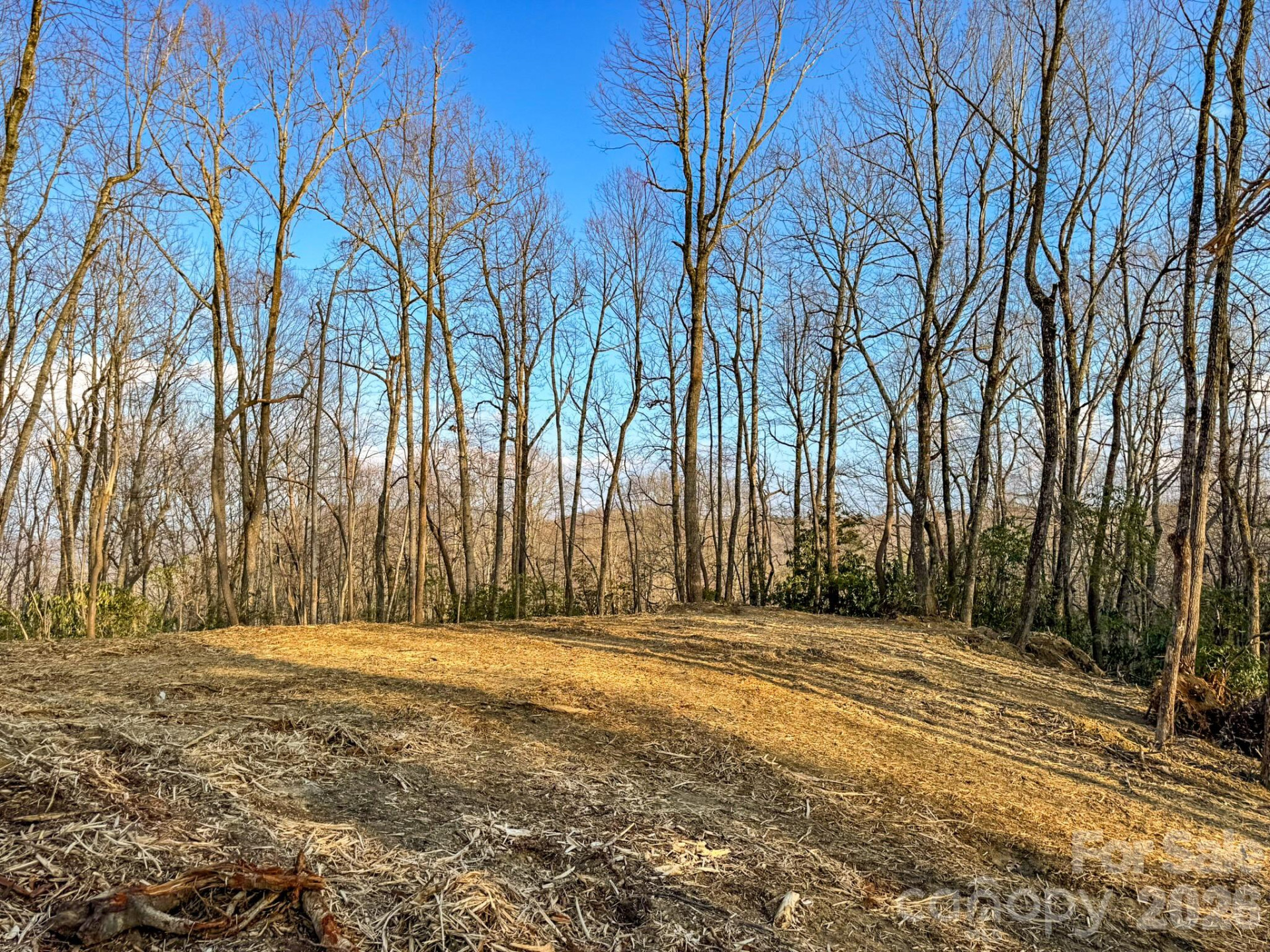 582 Faircrest Lane - Photo 39