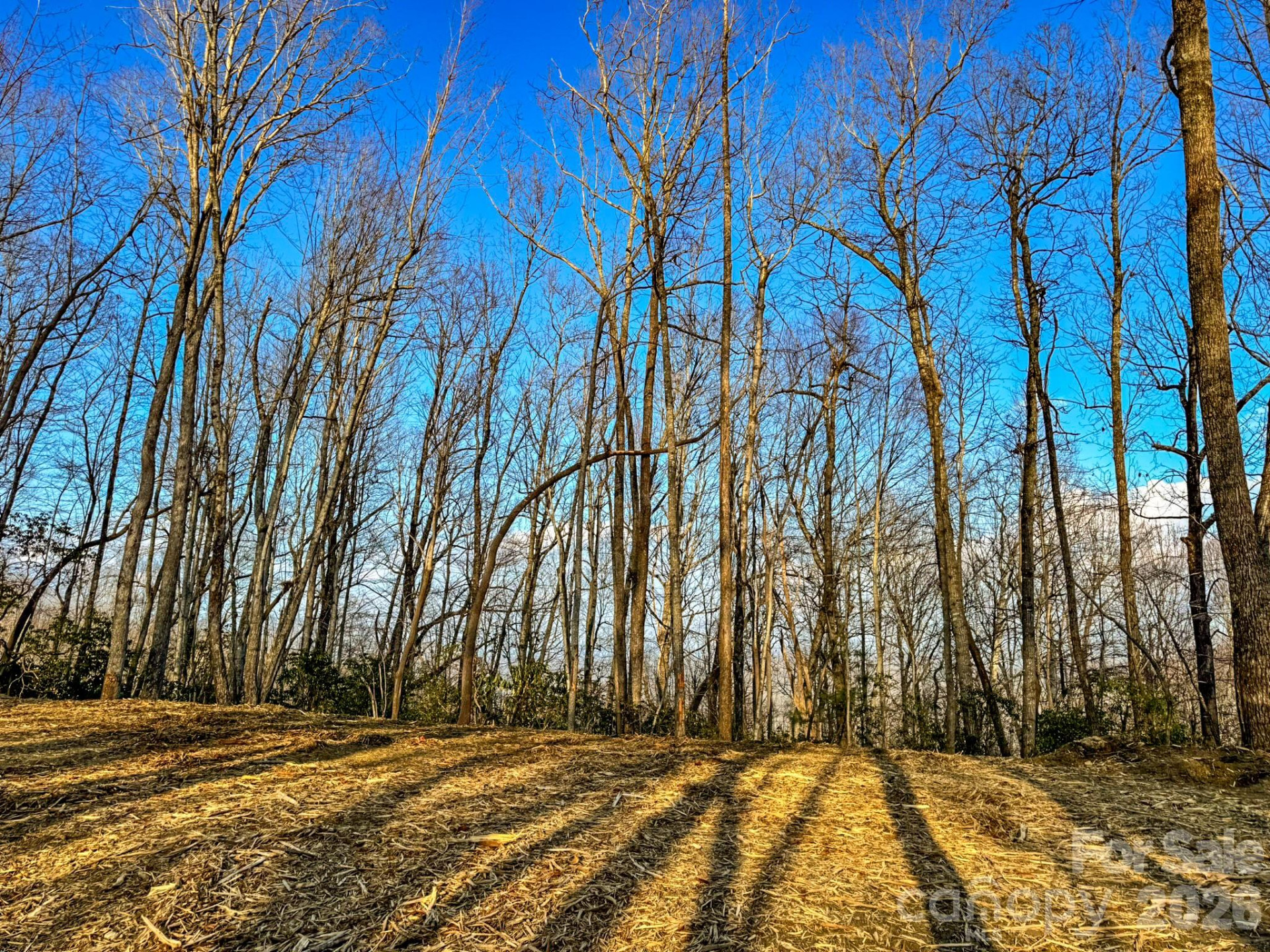 582 Faircrest Lane - Photo 40