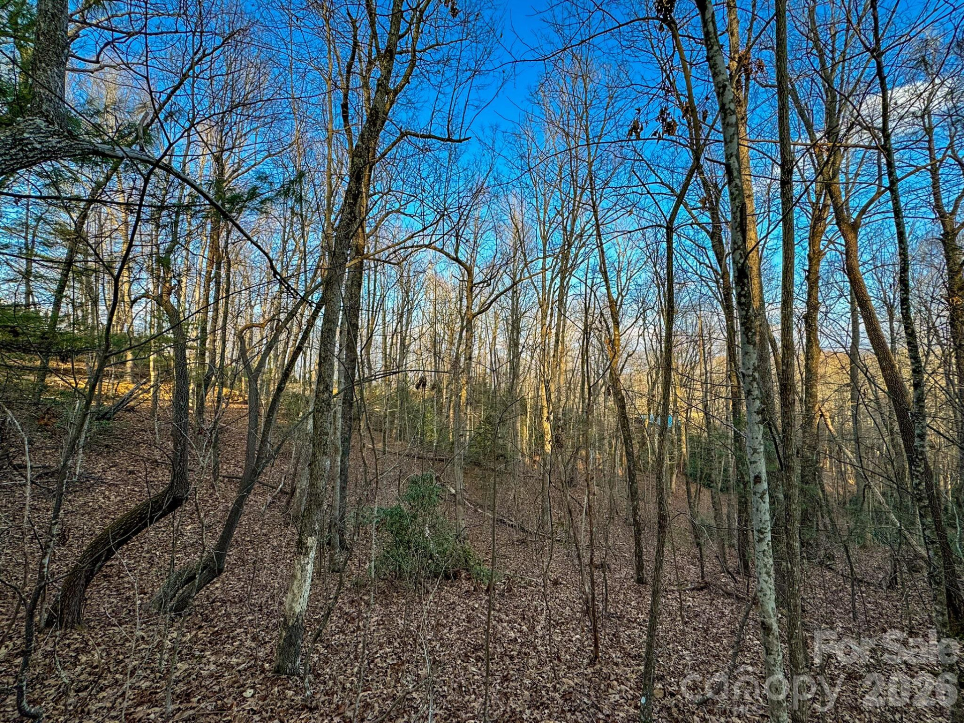 582 Faircrest Lane - Photo 44