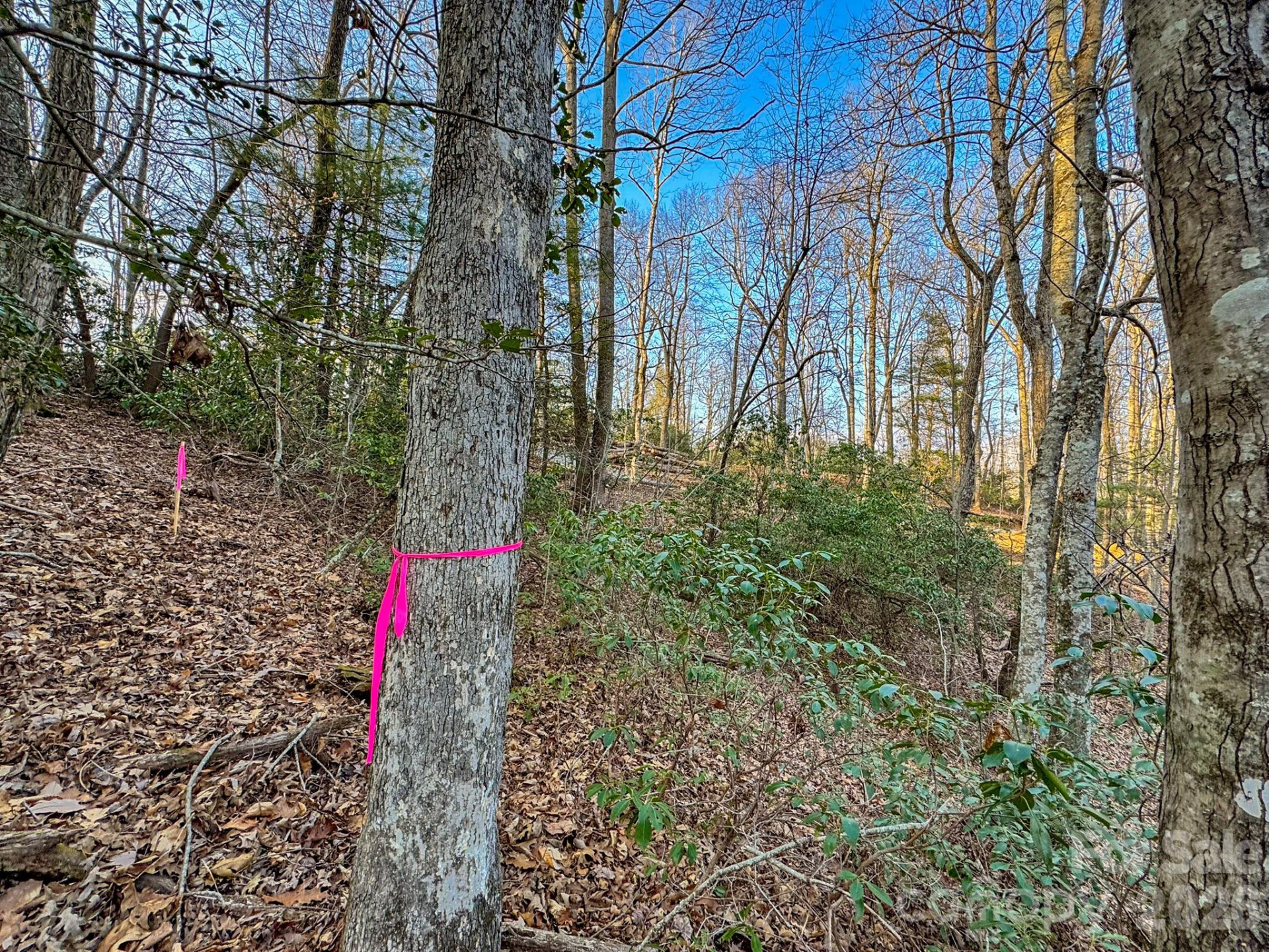 582 Faircrest Lane - Photo 45