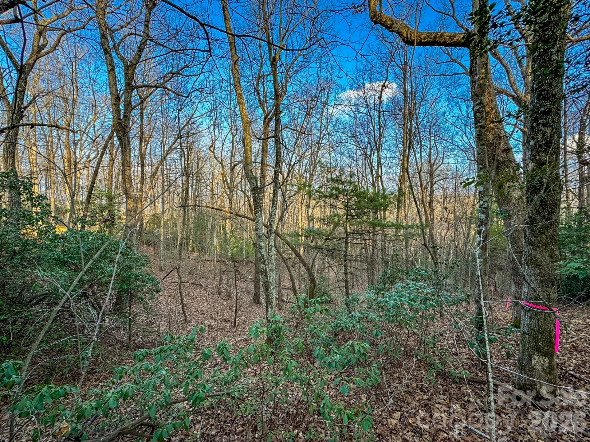 582 Faircrest Lane - Photo 46