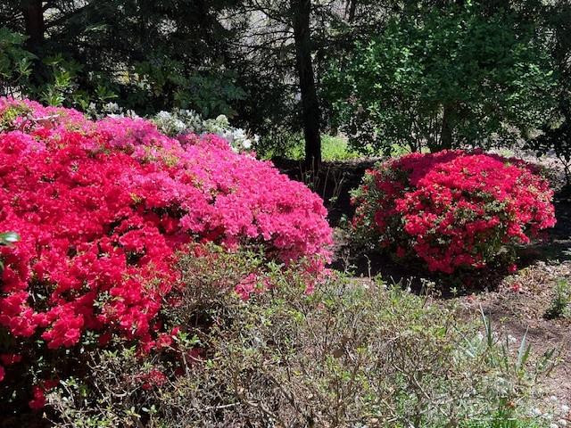 330 Dawnbrook Drive - Photo 46