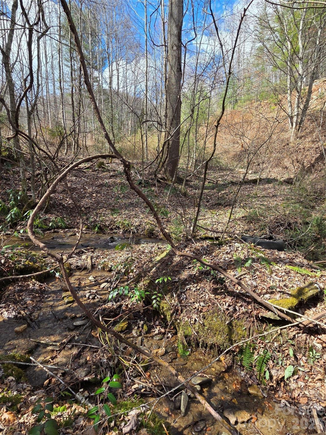00 Laurel Branch Road - Photo 2