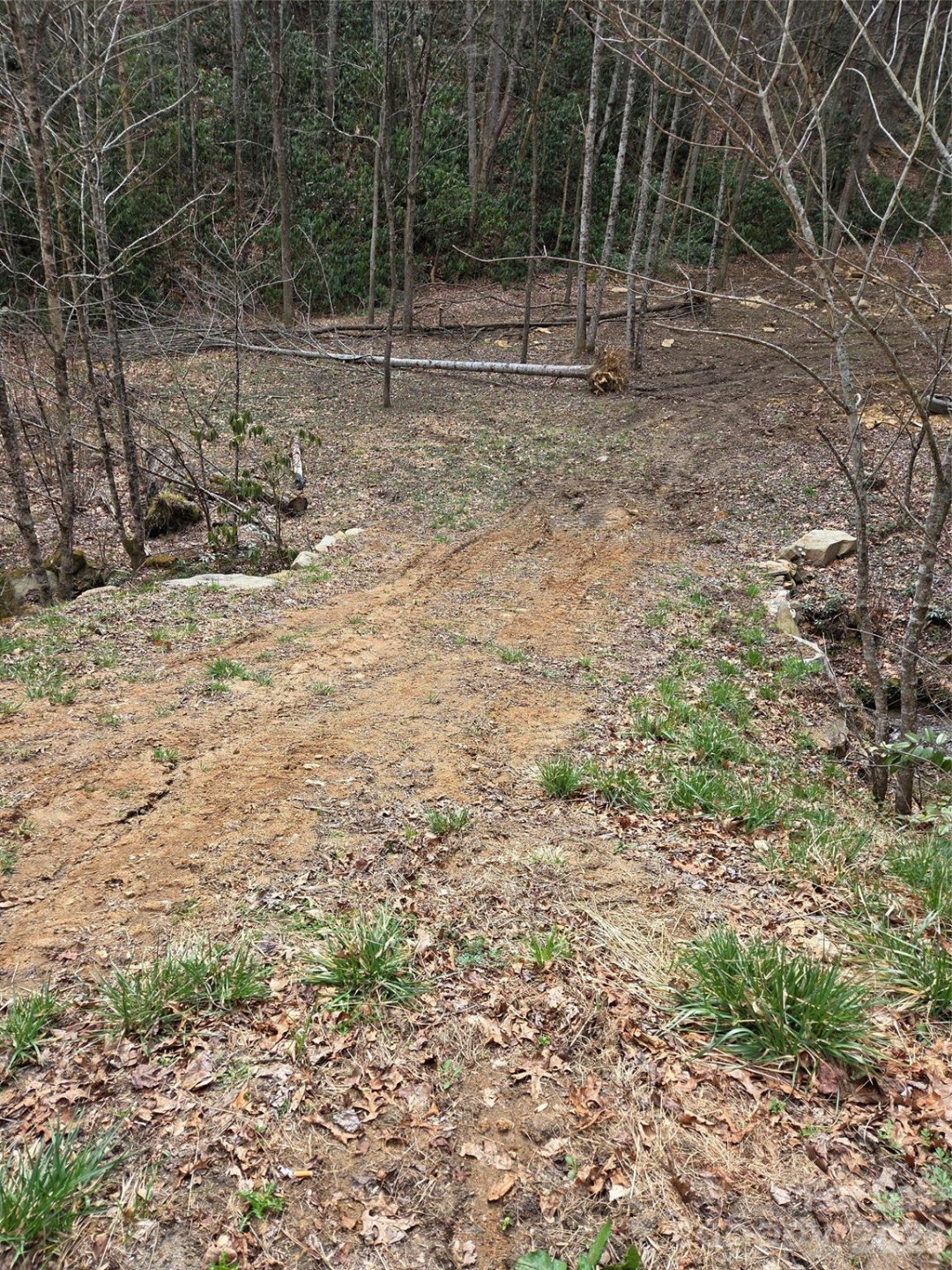 00 Laurel Branch Road - Photo 12