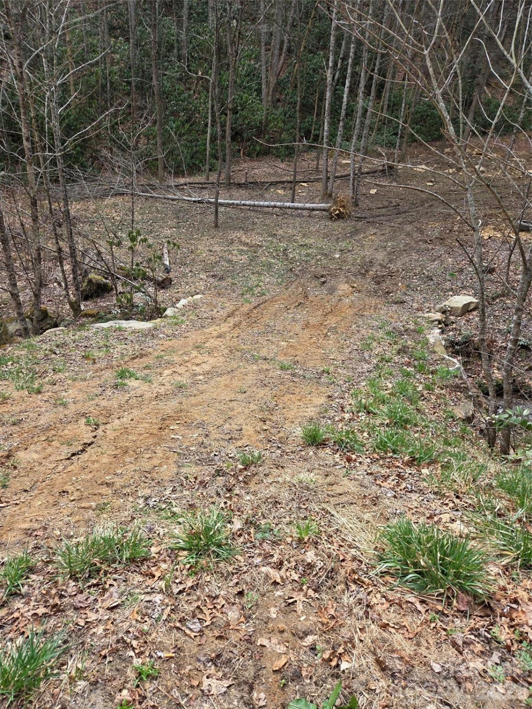 00 Laurel Branch Road - Photo 12